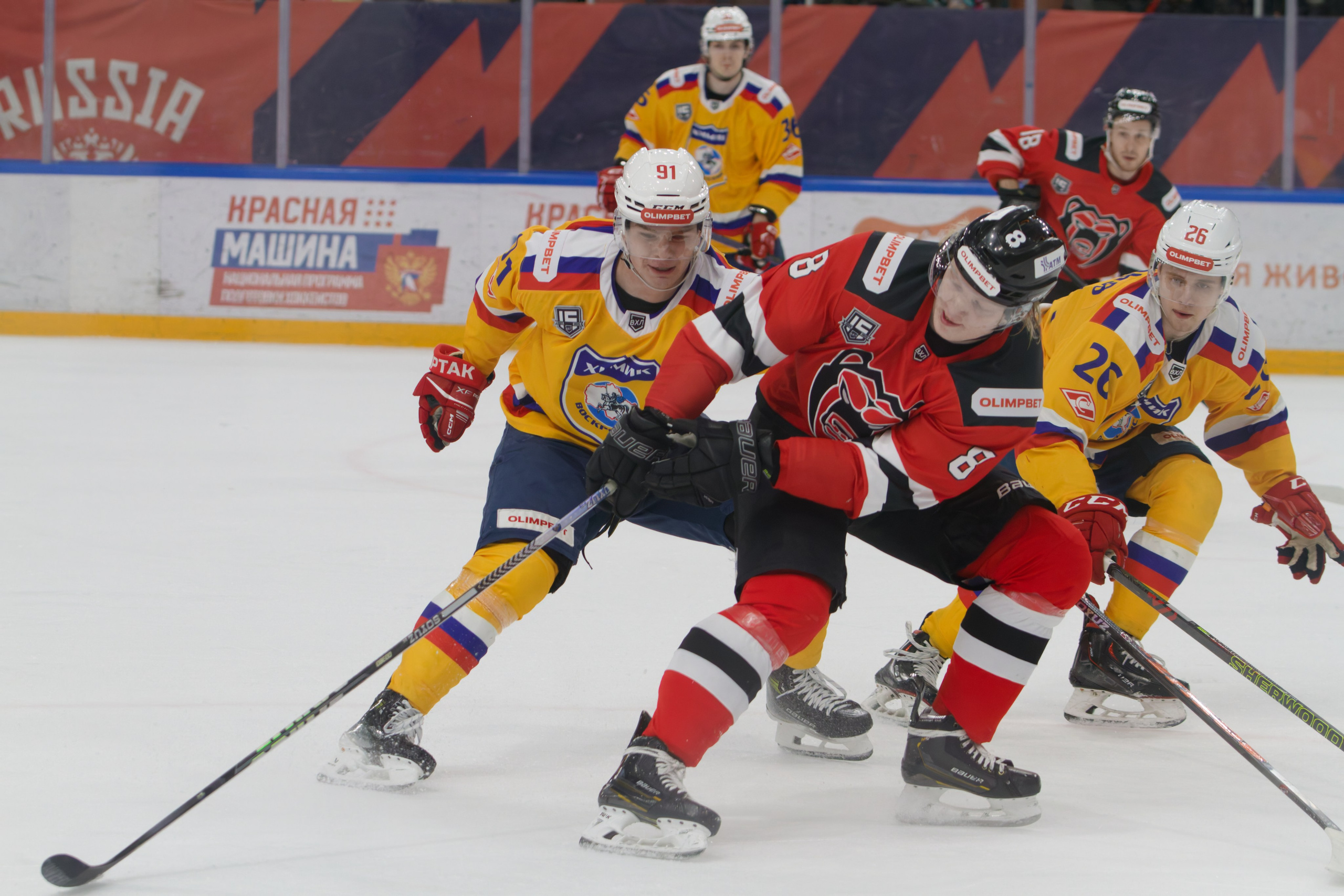 Хоккей. Молот-Химик 12.02.2025. Репортажный и спортивный фотограф в г. Пермь Зильберг Павел