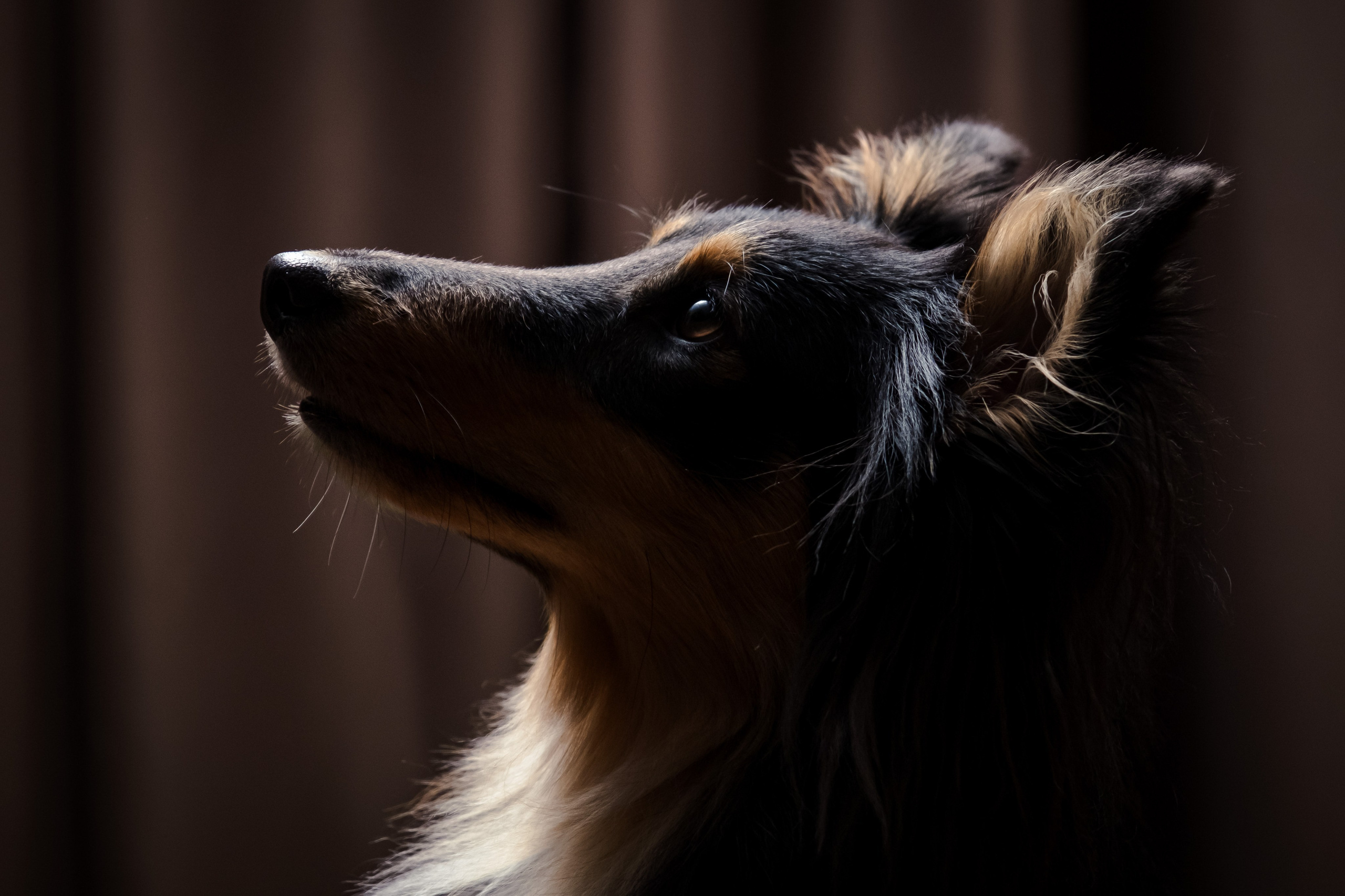 Портретная съёмка. Фотограф и оператор Илья Гунбин