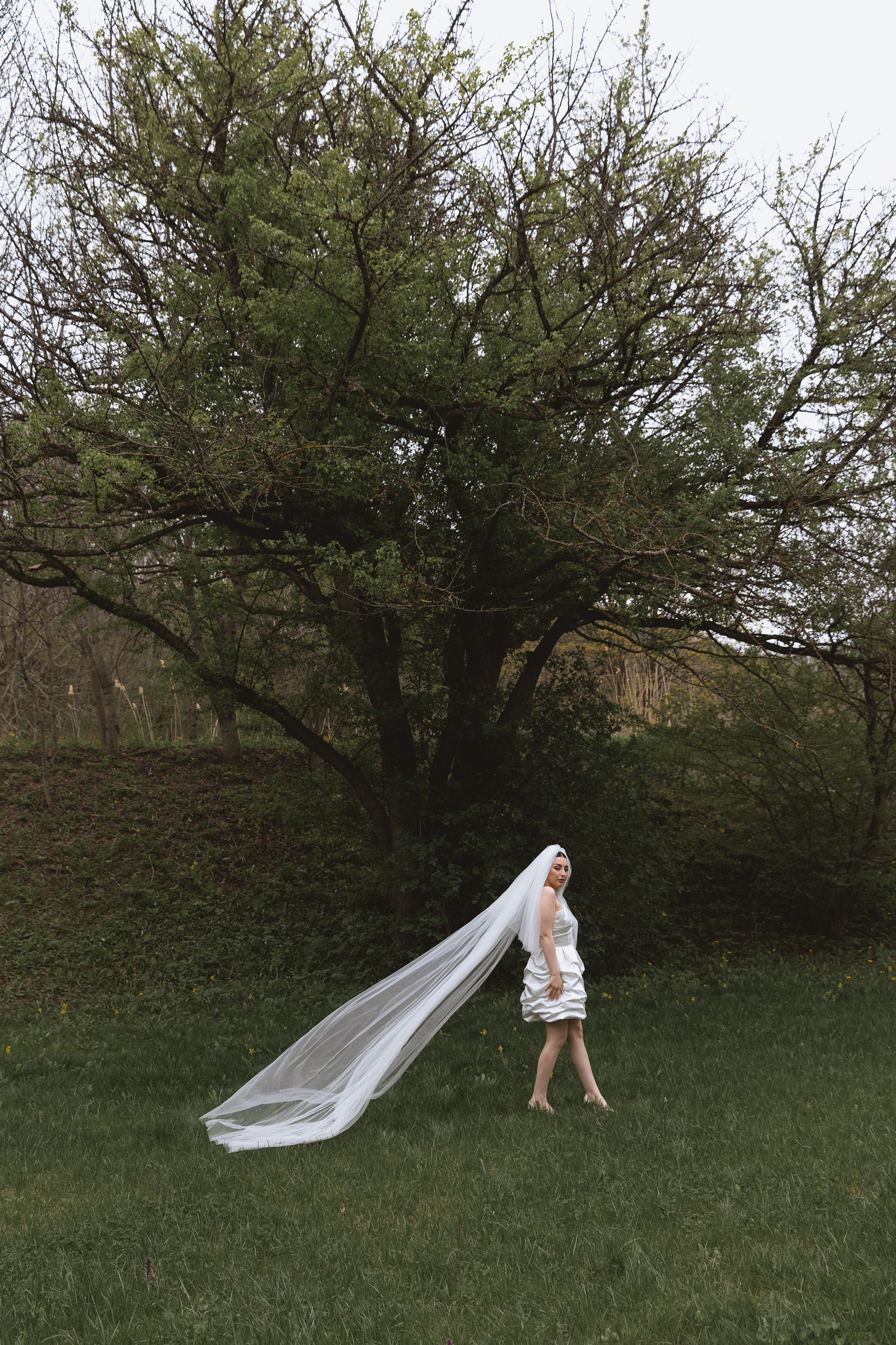 С&А. Свадебный фотограф