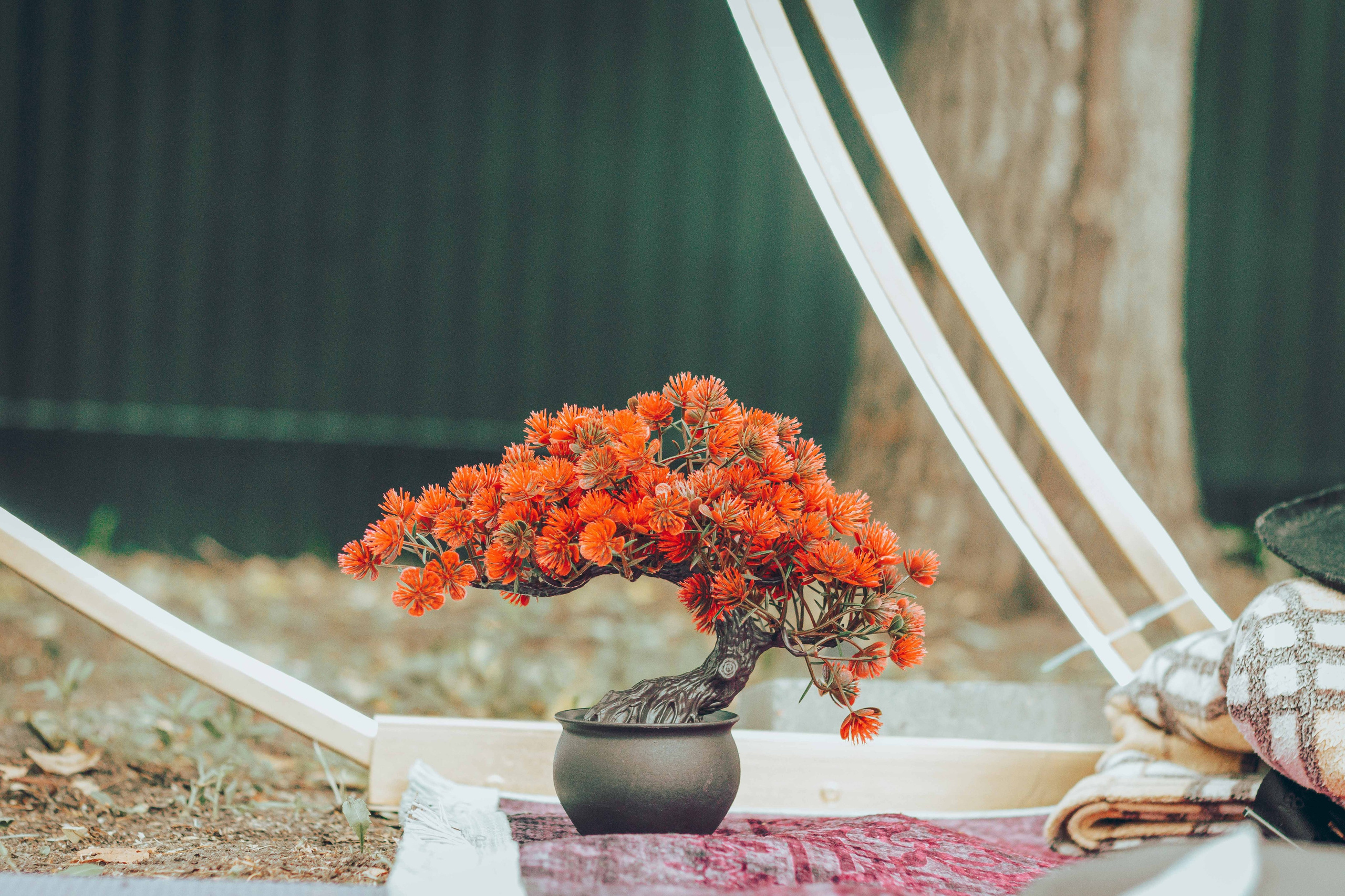 ECSTATIC WHITE |2024. Фотограф Аннё| Москва