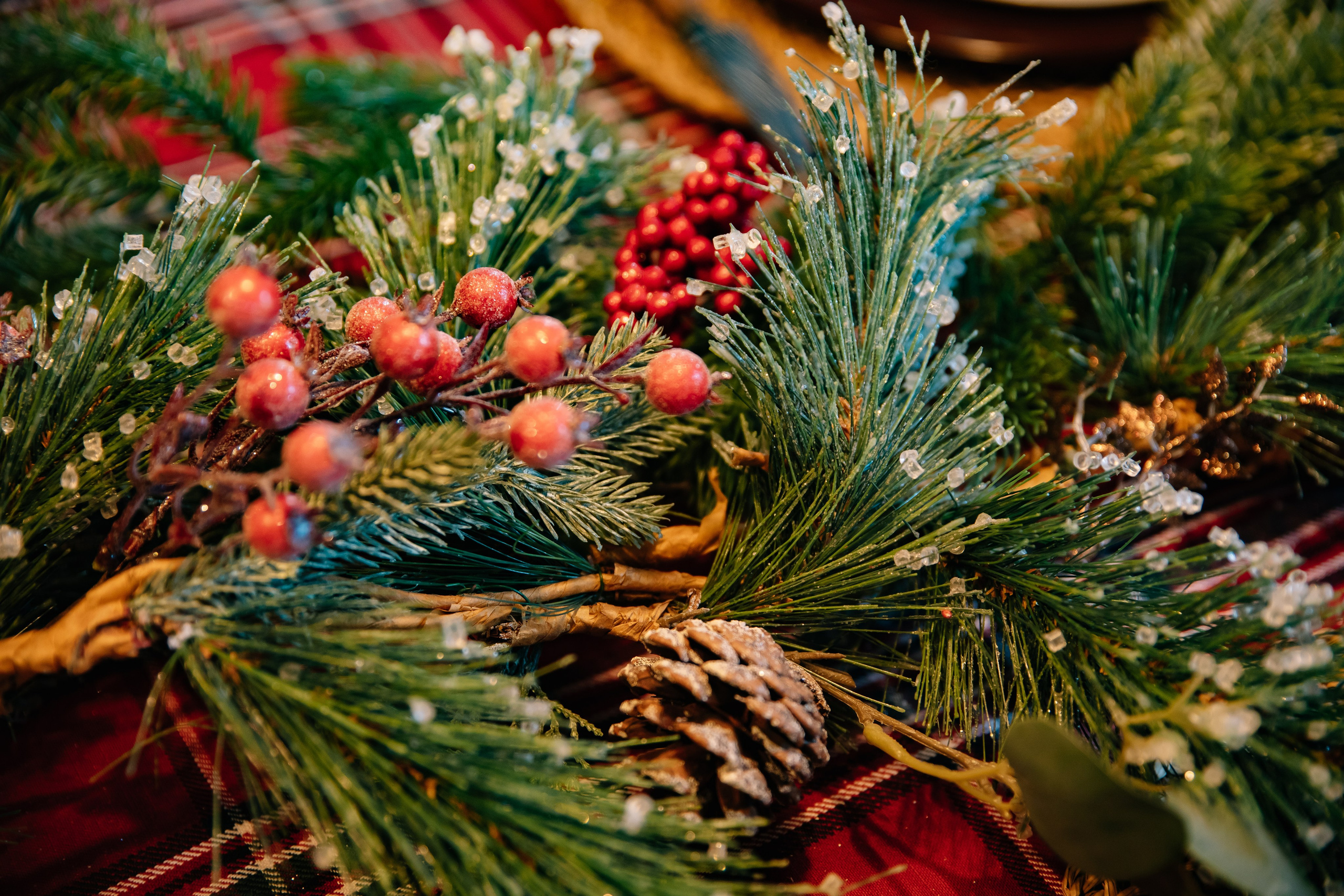 Ангелина. Фотограф в Москве Яна Полосина