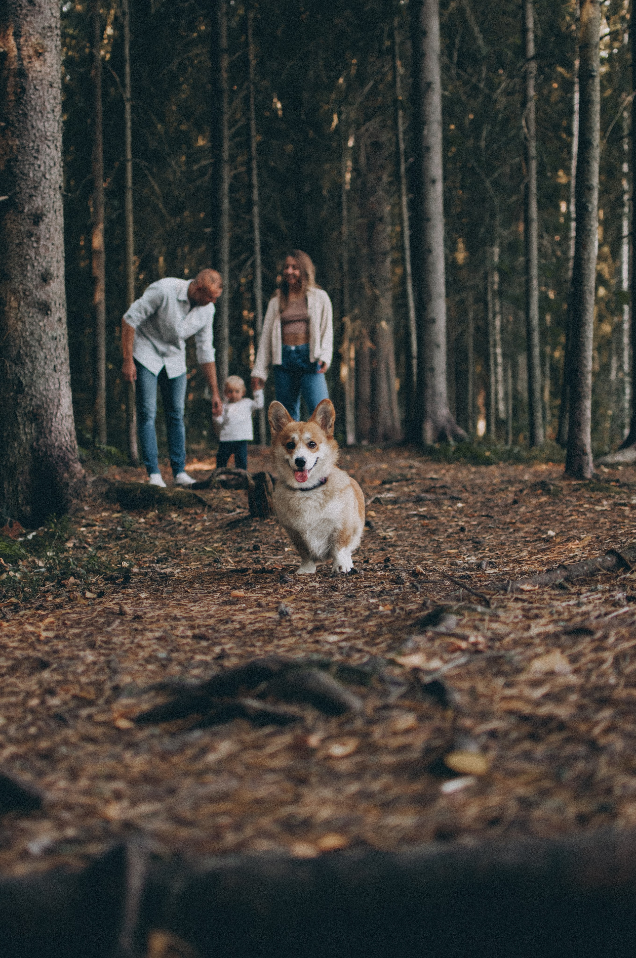 Один годик Андрюше. Семейный фотограф из Петрозаводска, Карелия