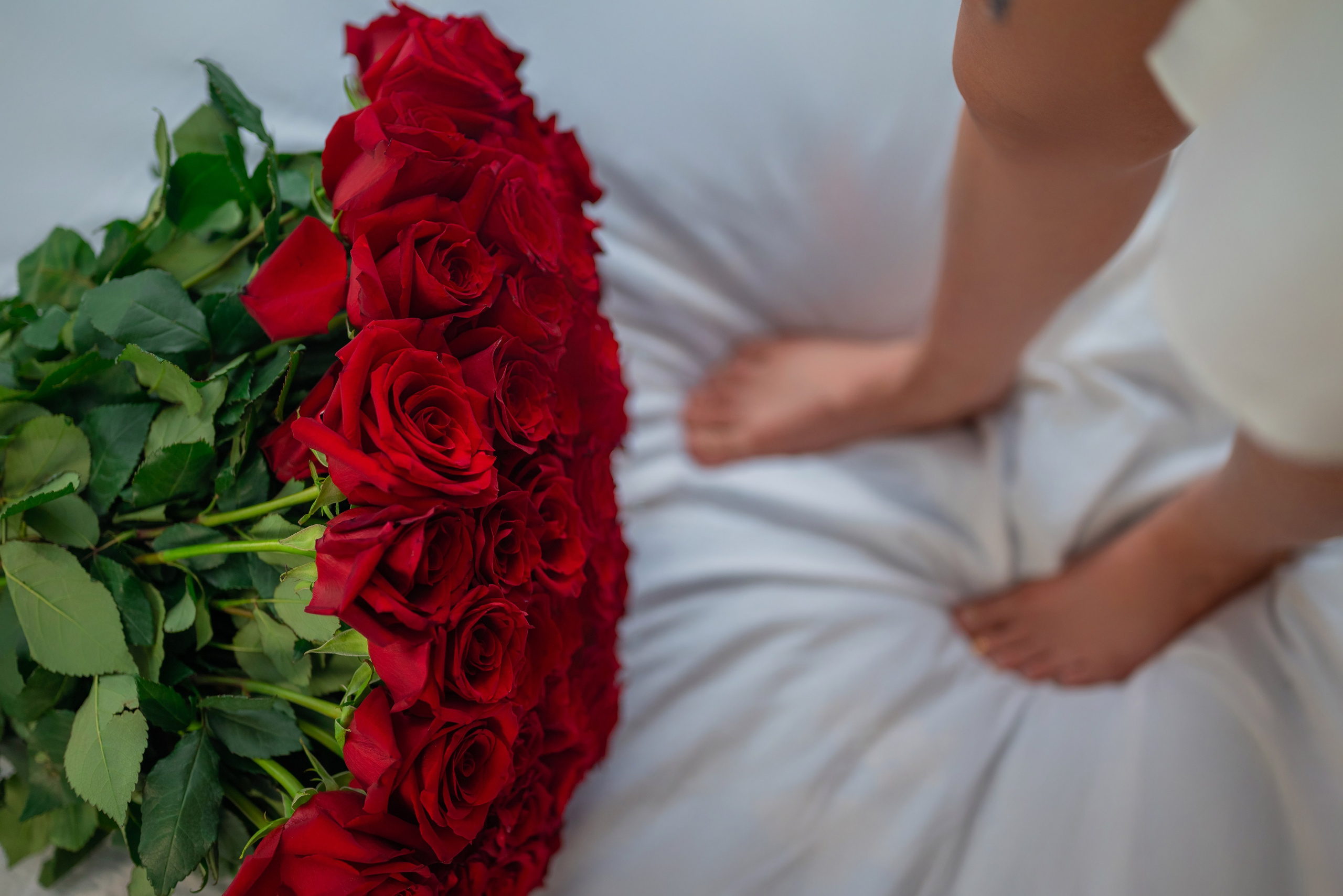 Фотопроект *101 красная роза* 2023 г. Фотограф в городе Салават