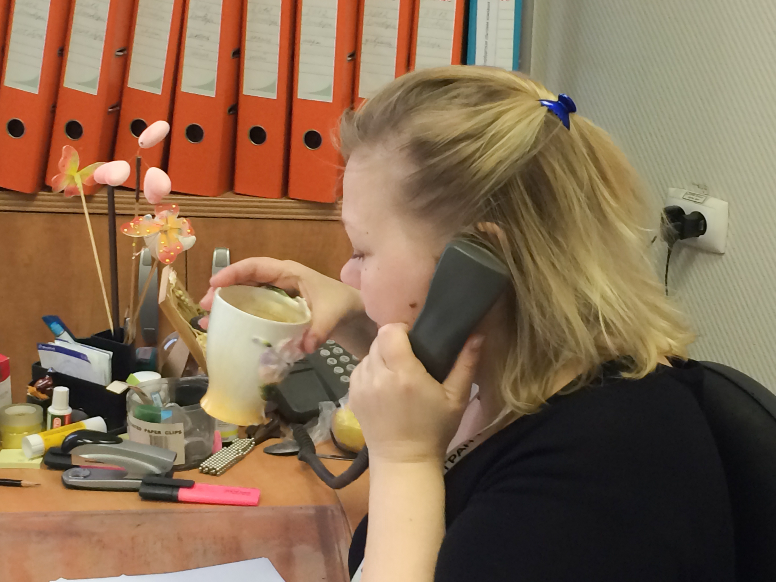 One day from the life of the chief accountant. Home