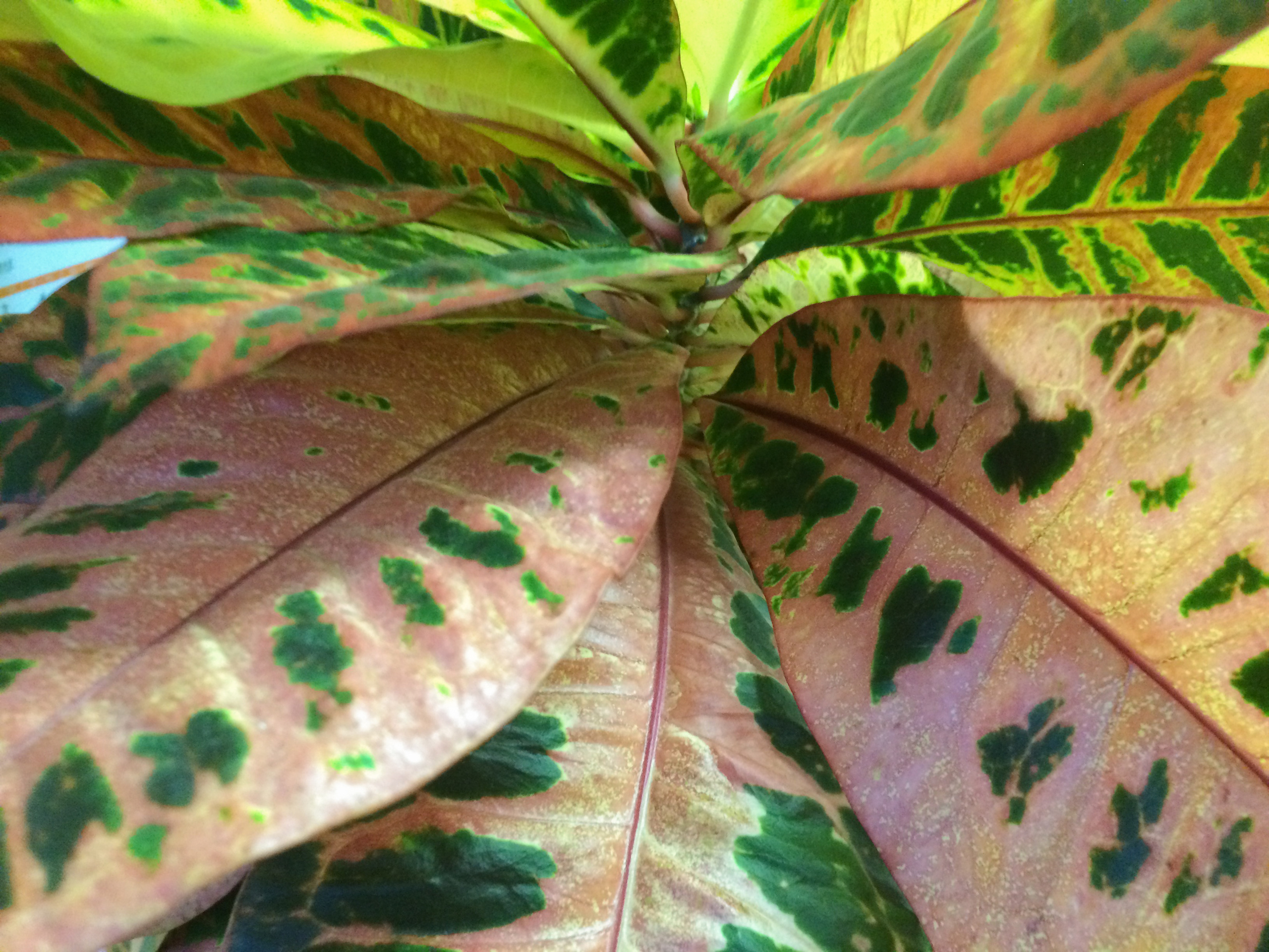 One day from the life of the chief accountant. Home