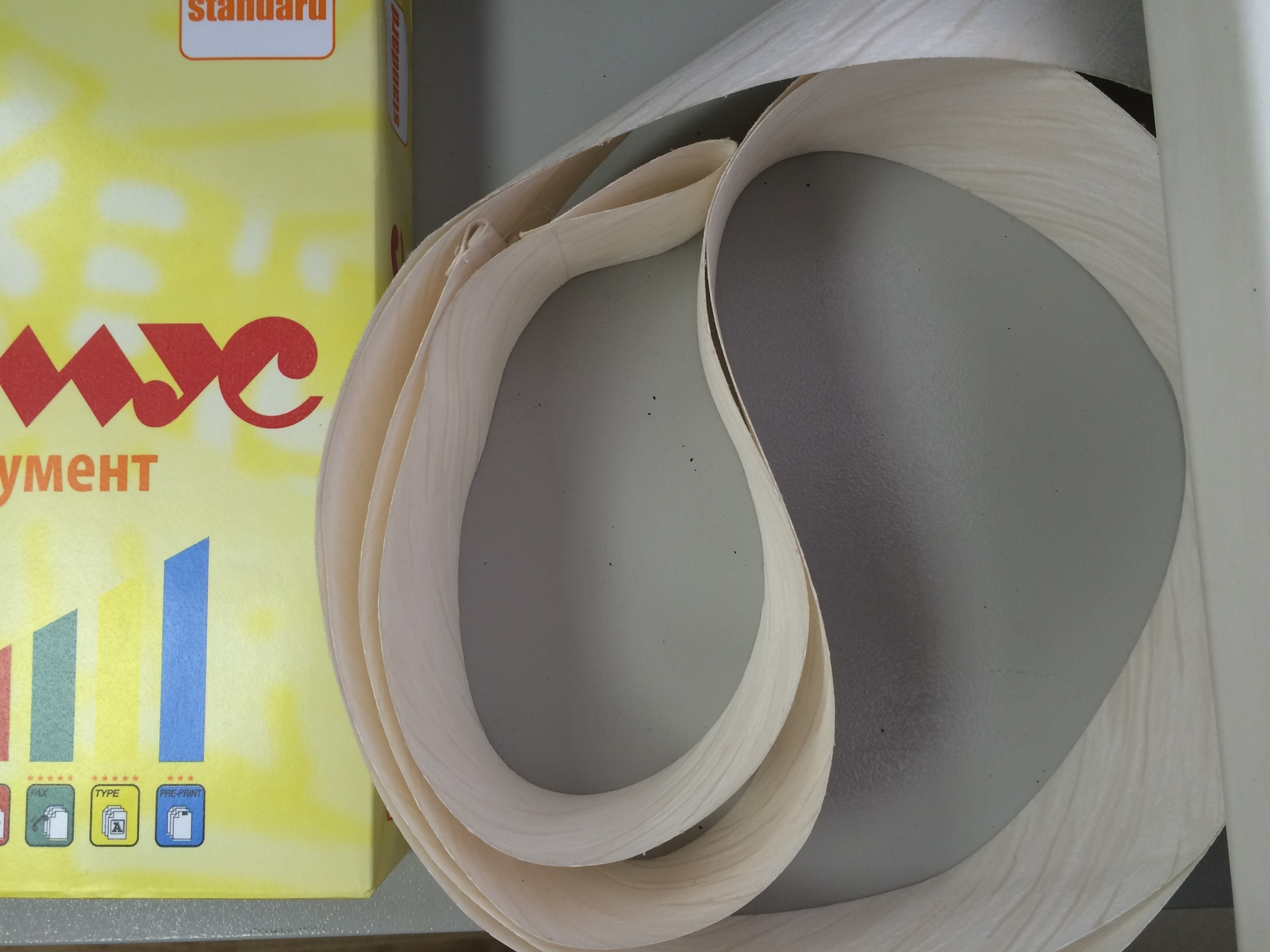 One day from the life of the chief accountant. Home