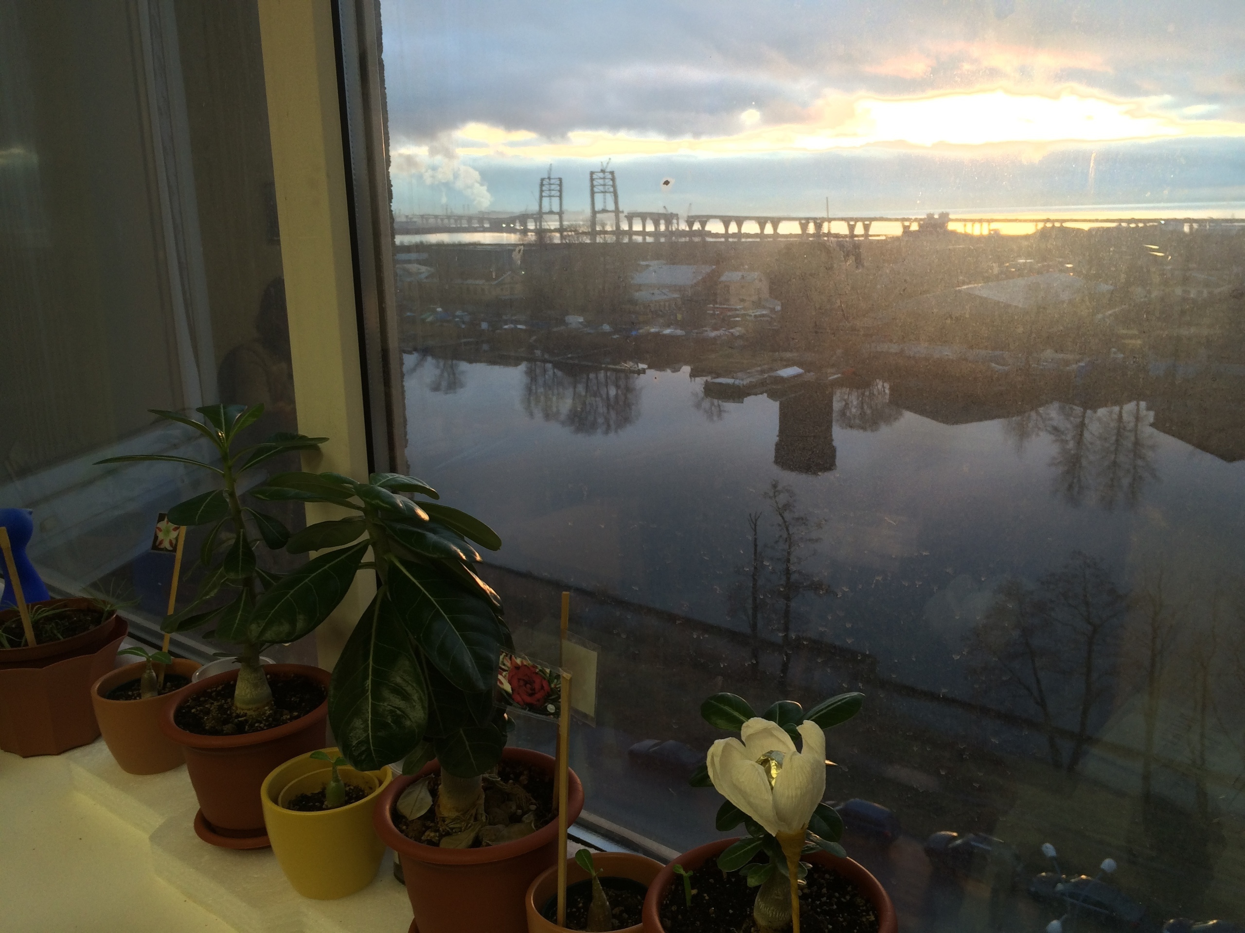 One day from the life of the chief accountant. Home