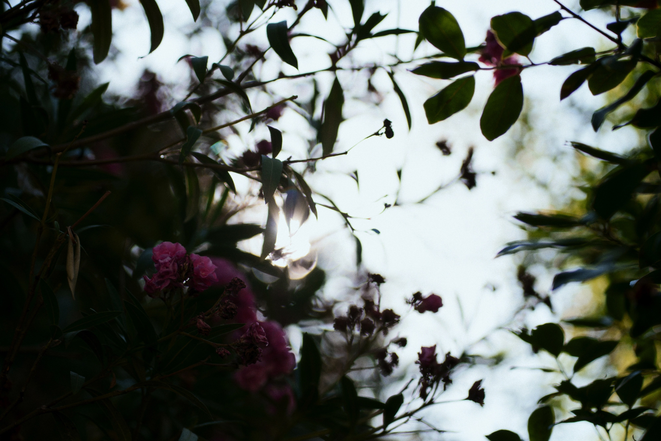 Büyükada х Heybeliada, Istanbul / Türkey SS25. Фотограф Юрин Евгений