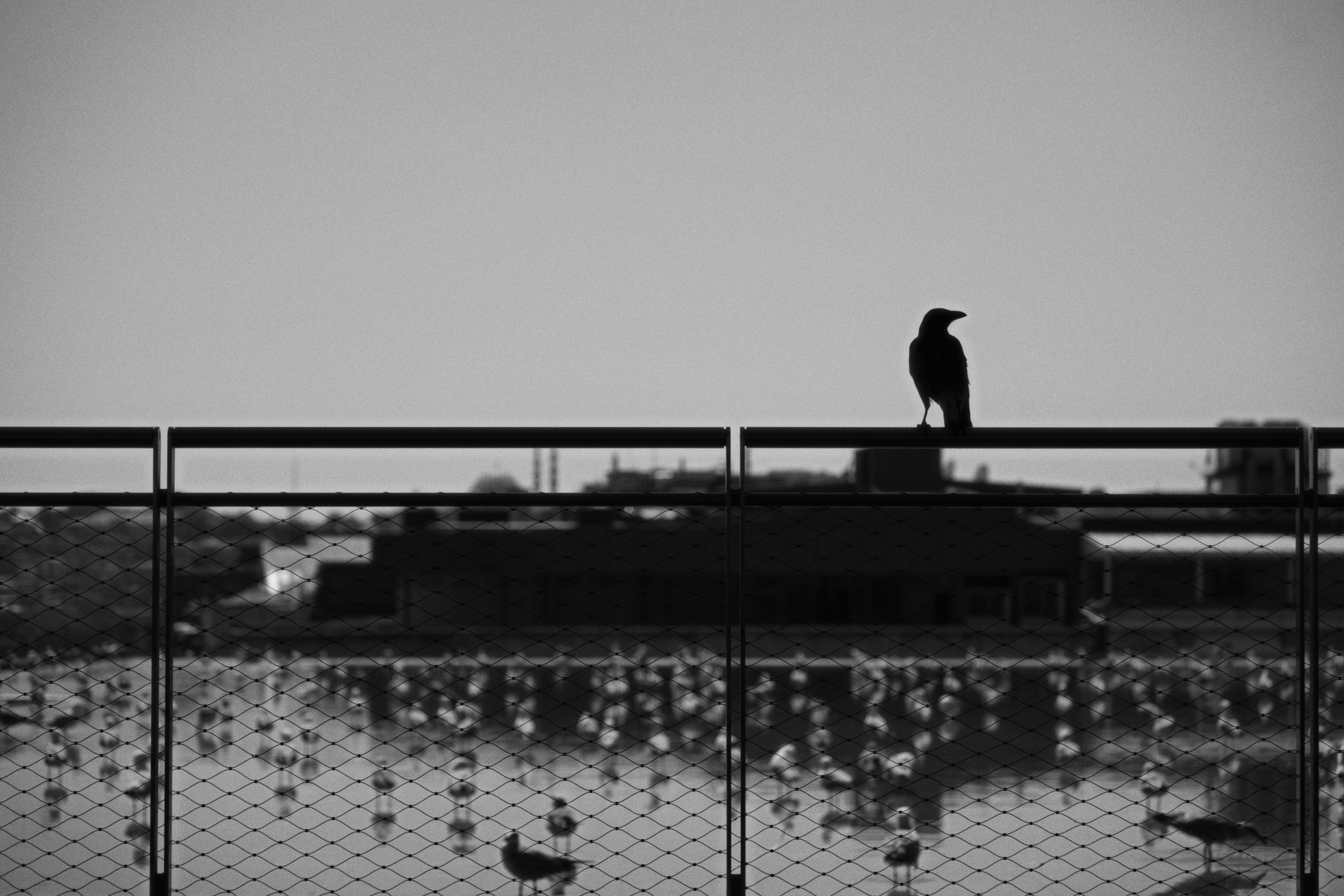 Istanbul Modern. Фотограф Юрин Евгений