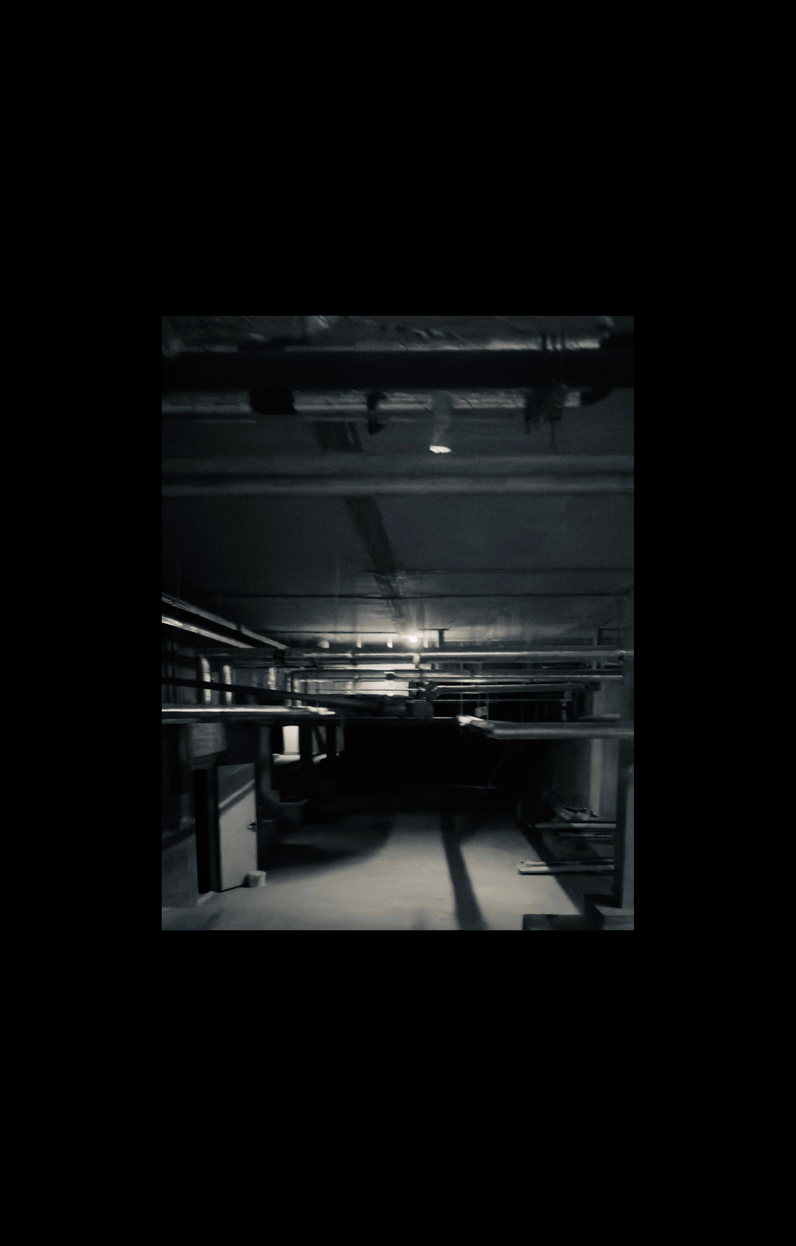 Уличный. Фотограф Арсений Королев