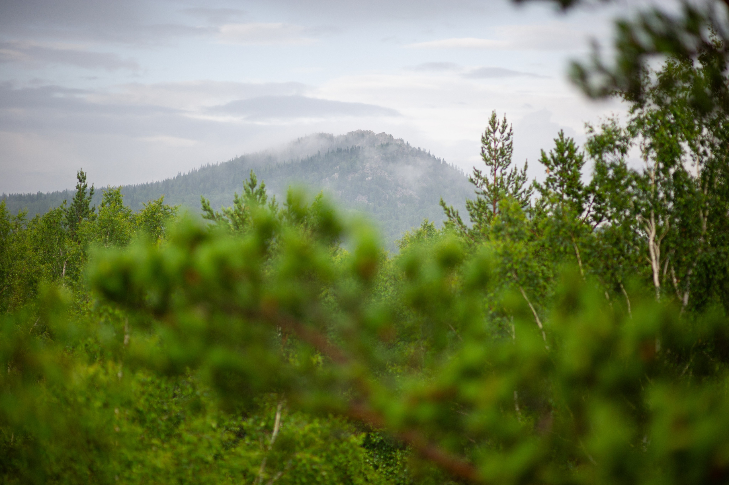 Национальный парк Таганай. Фотограф Шариков Илья