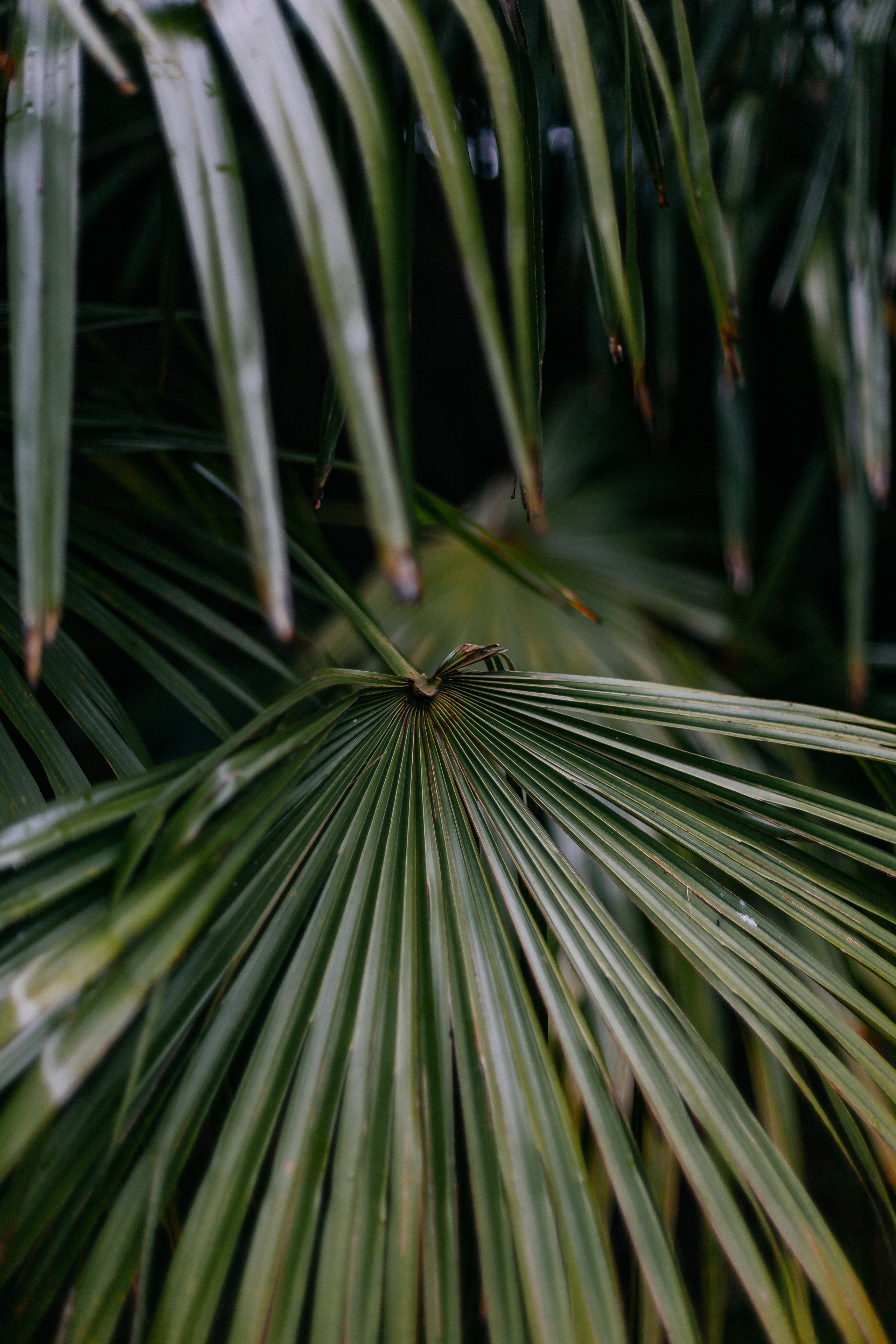 Сочи. Аня Степанова