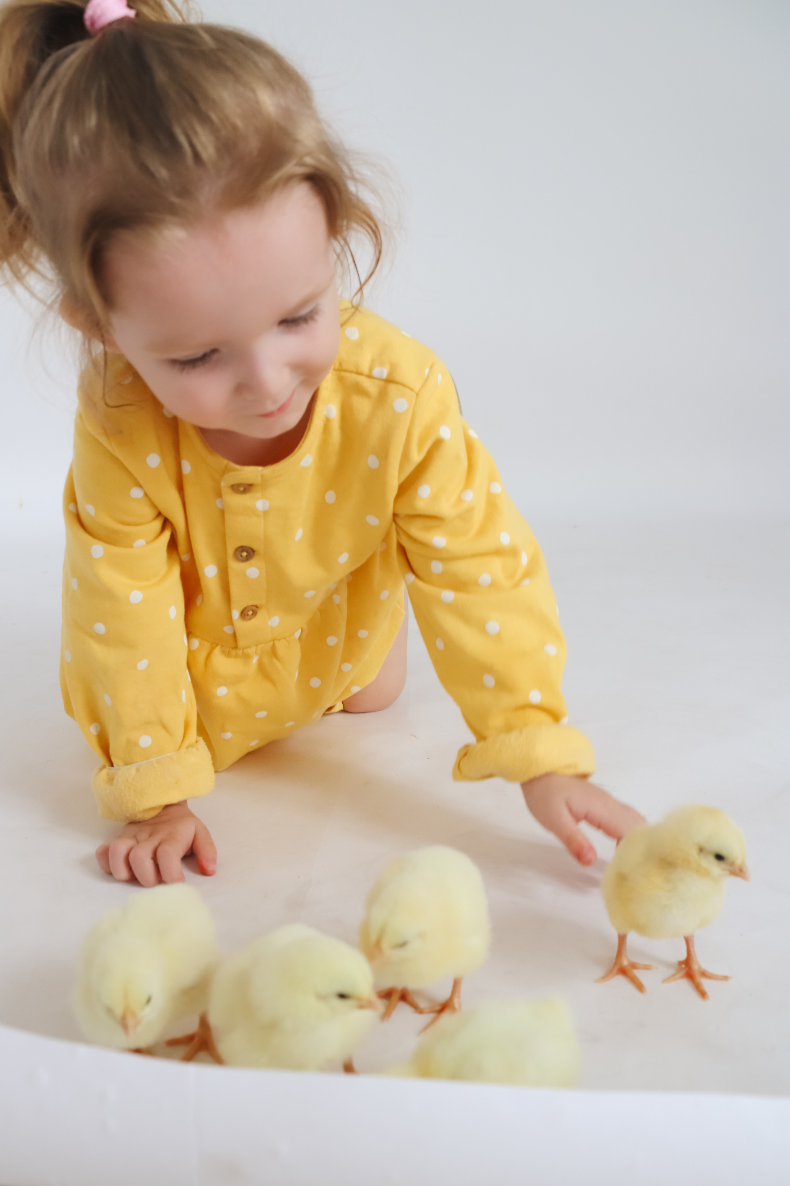 Фотограф Клусова Татьяна (Тольятти). Клусова Татьяна фотограф Тольятти