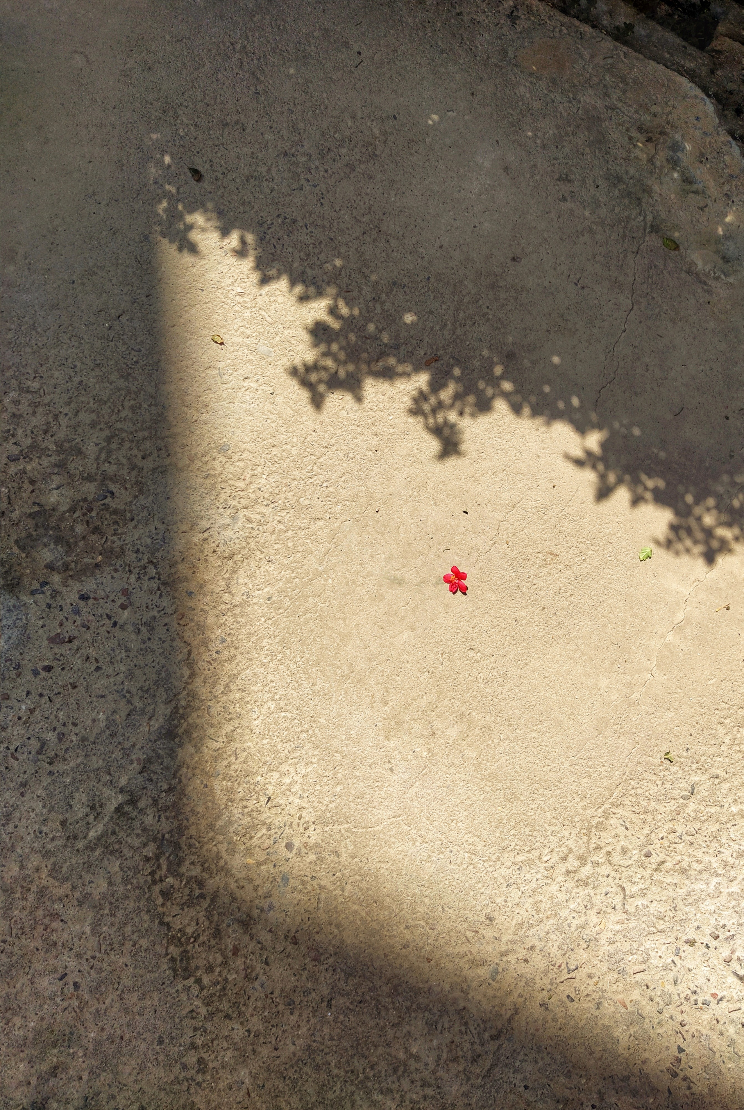 Бесшумная фотография. Tatyana Mazok творческий фотограф в Минске