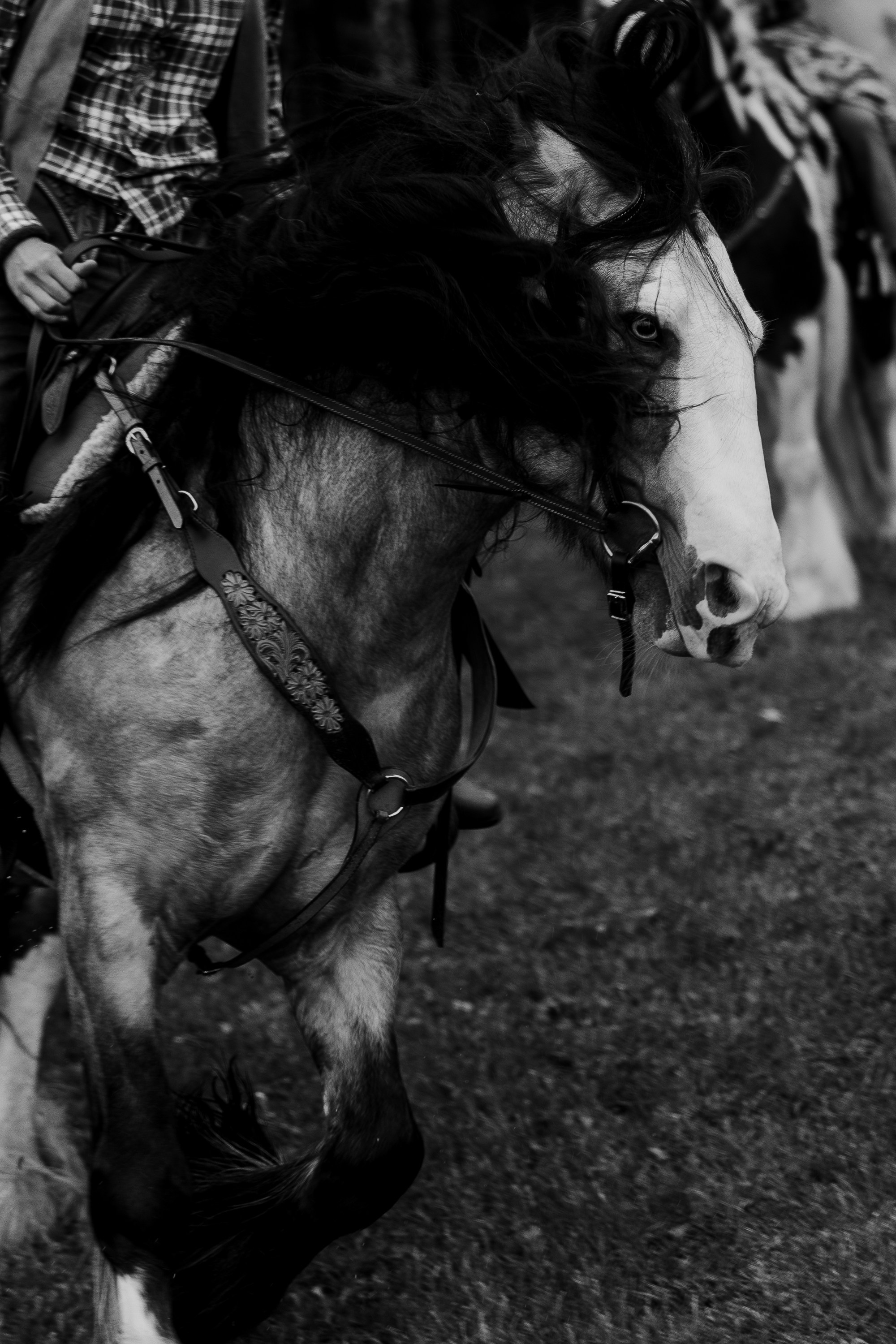 CPA BRO. Фотограф Serj Ganso