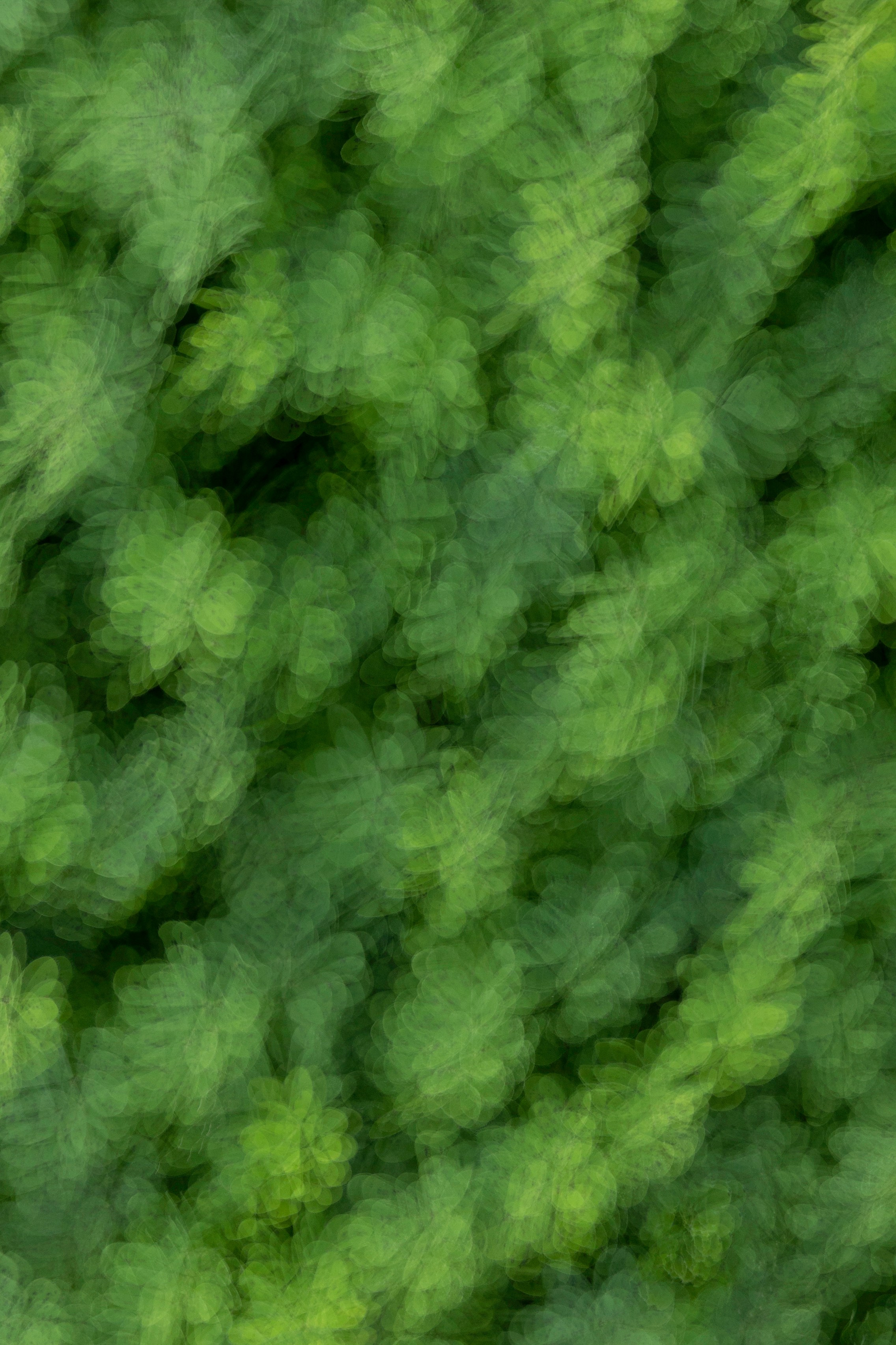 Art prints. Фотограф алина стерхова, алина стерхова фотограф, фотограф москва