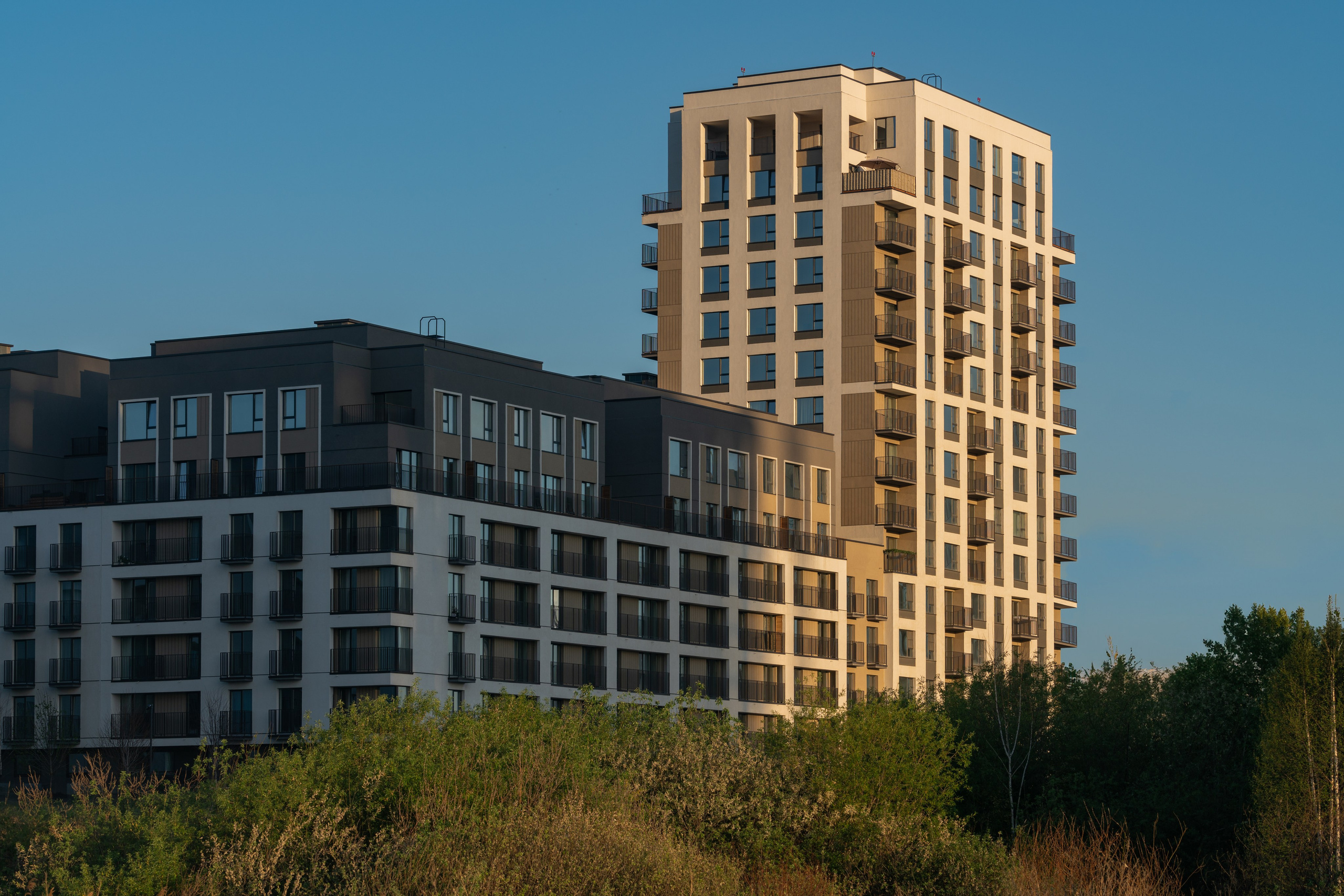 На Академическом | Брусника. Архитектурный фотограф Кирилл Цыбенко. Работаю в Москве, по всей России и Миру