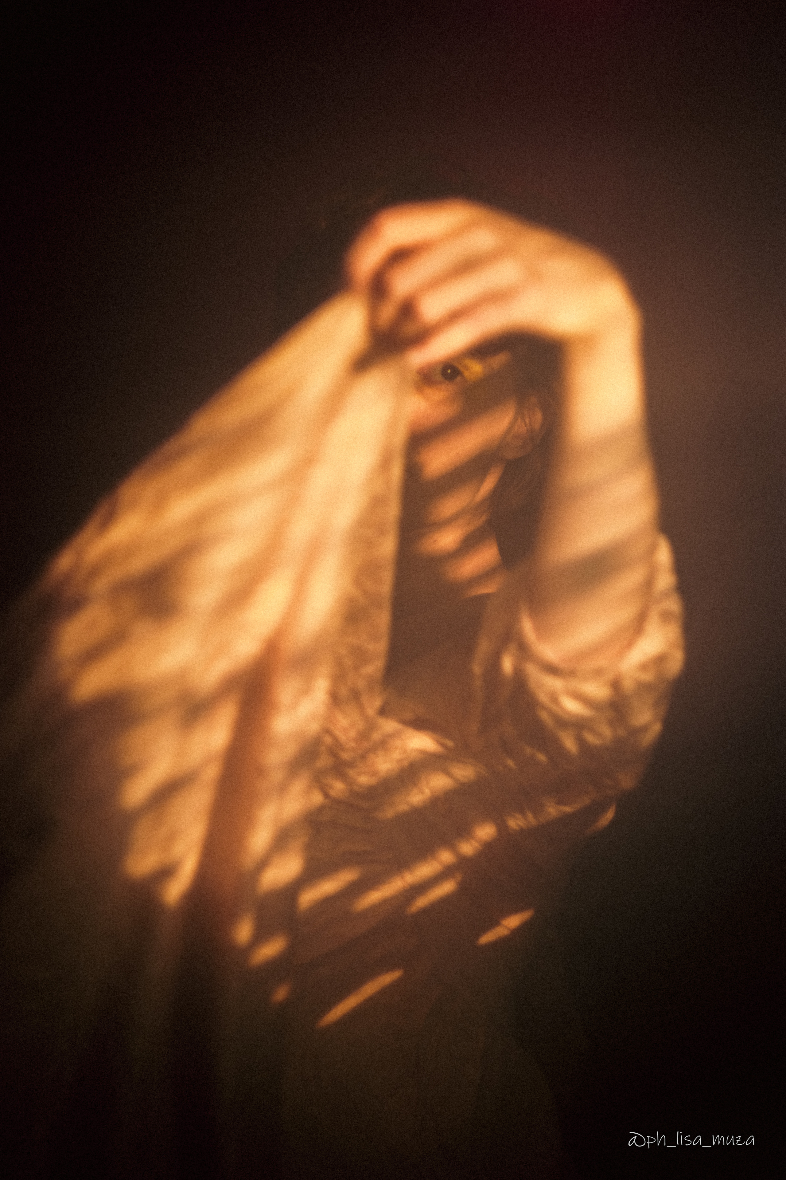 Поля. Ph_lisa_muza