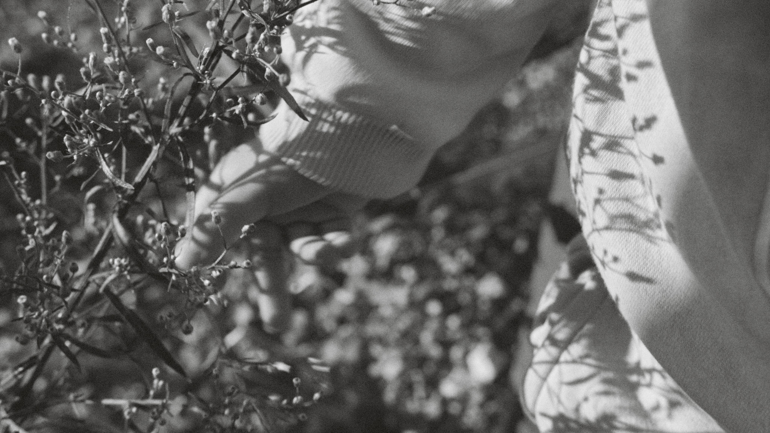 Наблюдения. Семейный фотограф в Новосибирске Артём Кузнецов