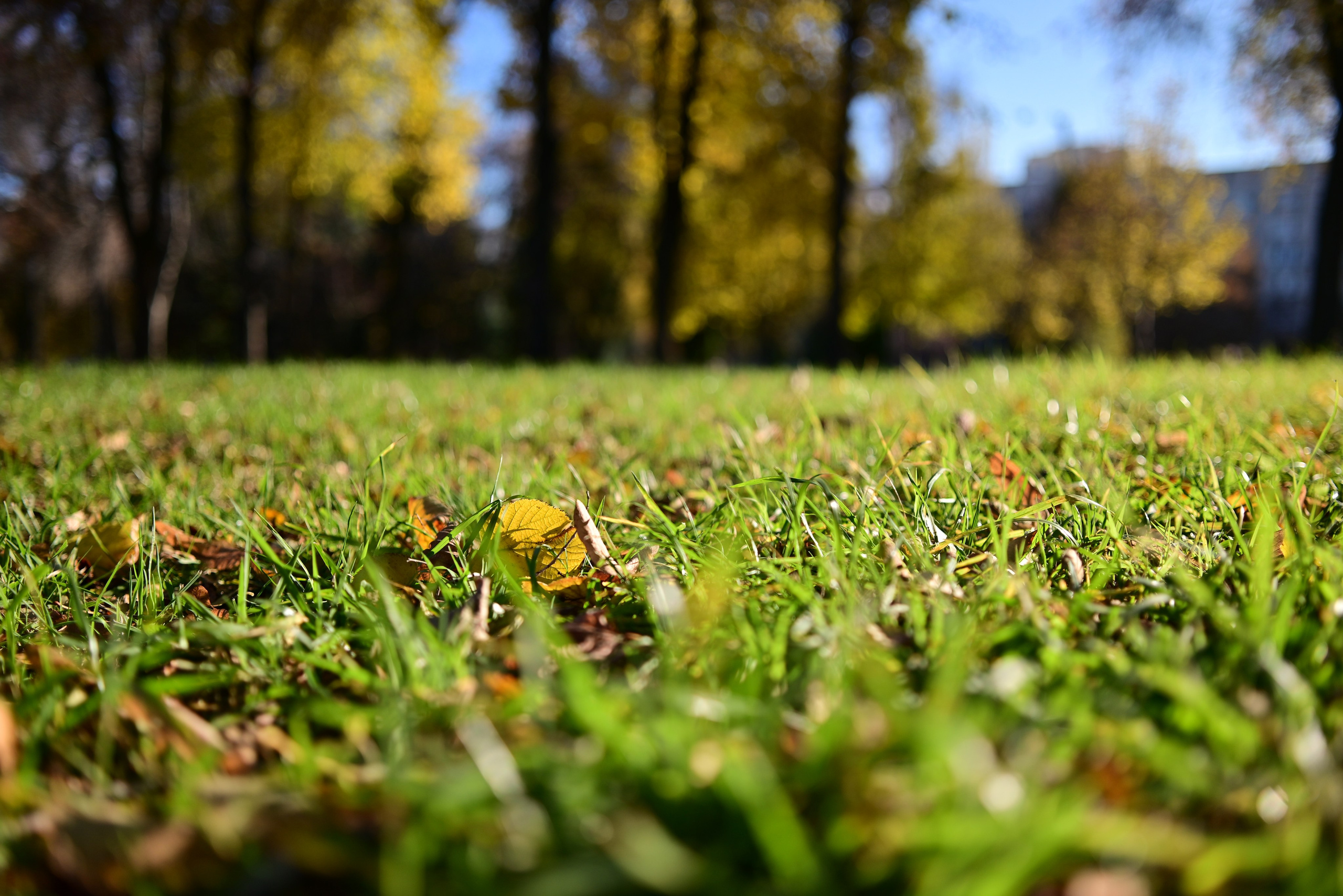Осень в Самаре 2025. Фотосъёмка праздничных мероприятий, портретная съёмка в Самаре, Пётр Бубняев