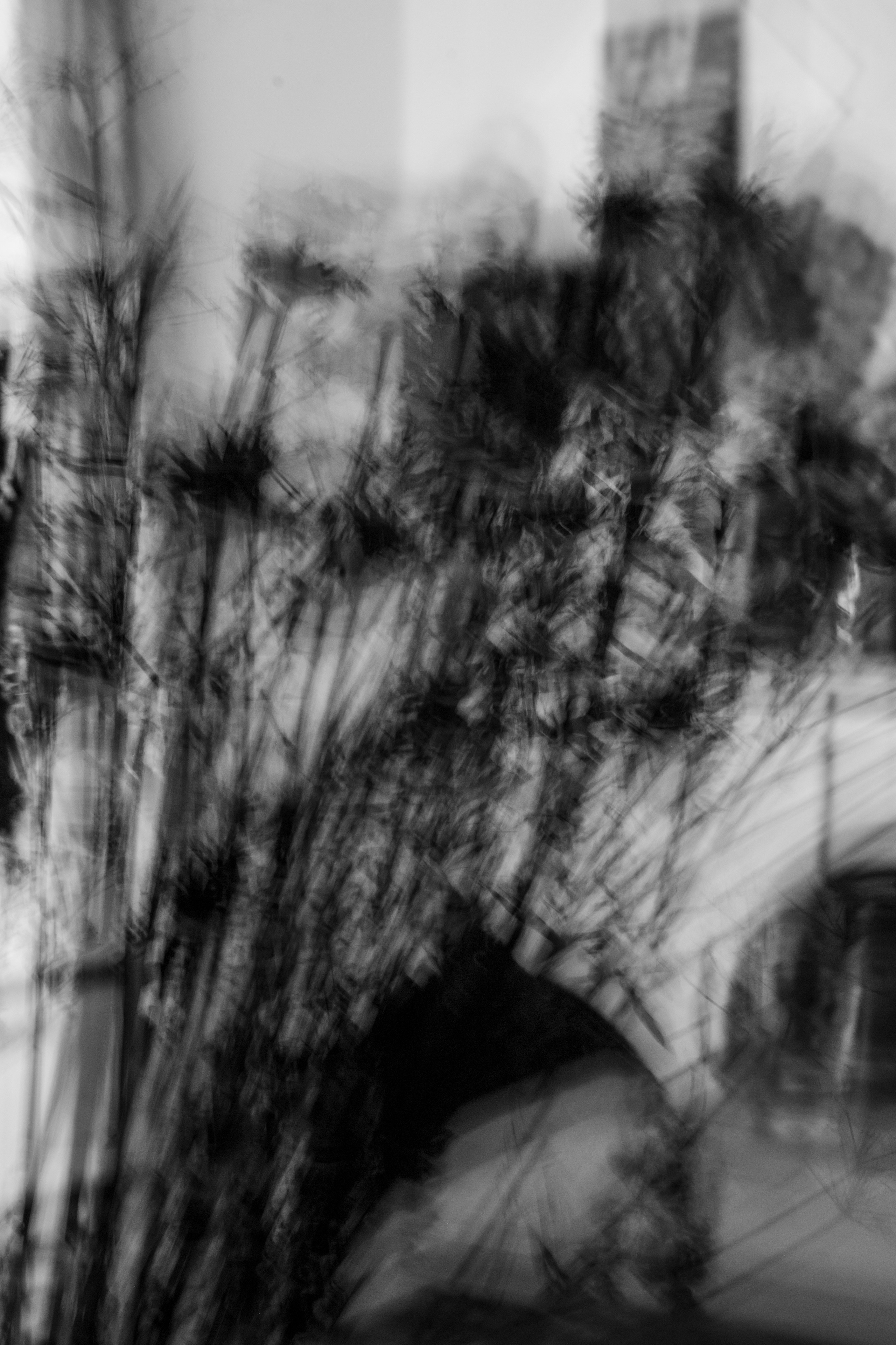 Монохром. Ваш фотограф Северск | Томск