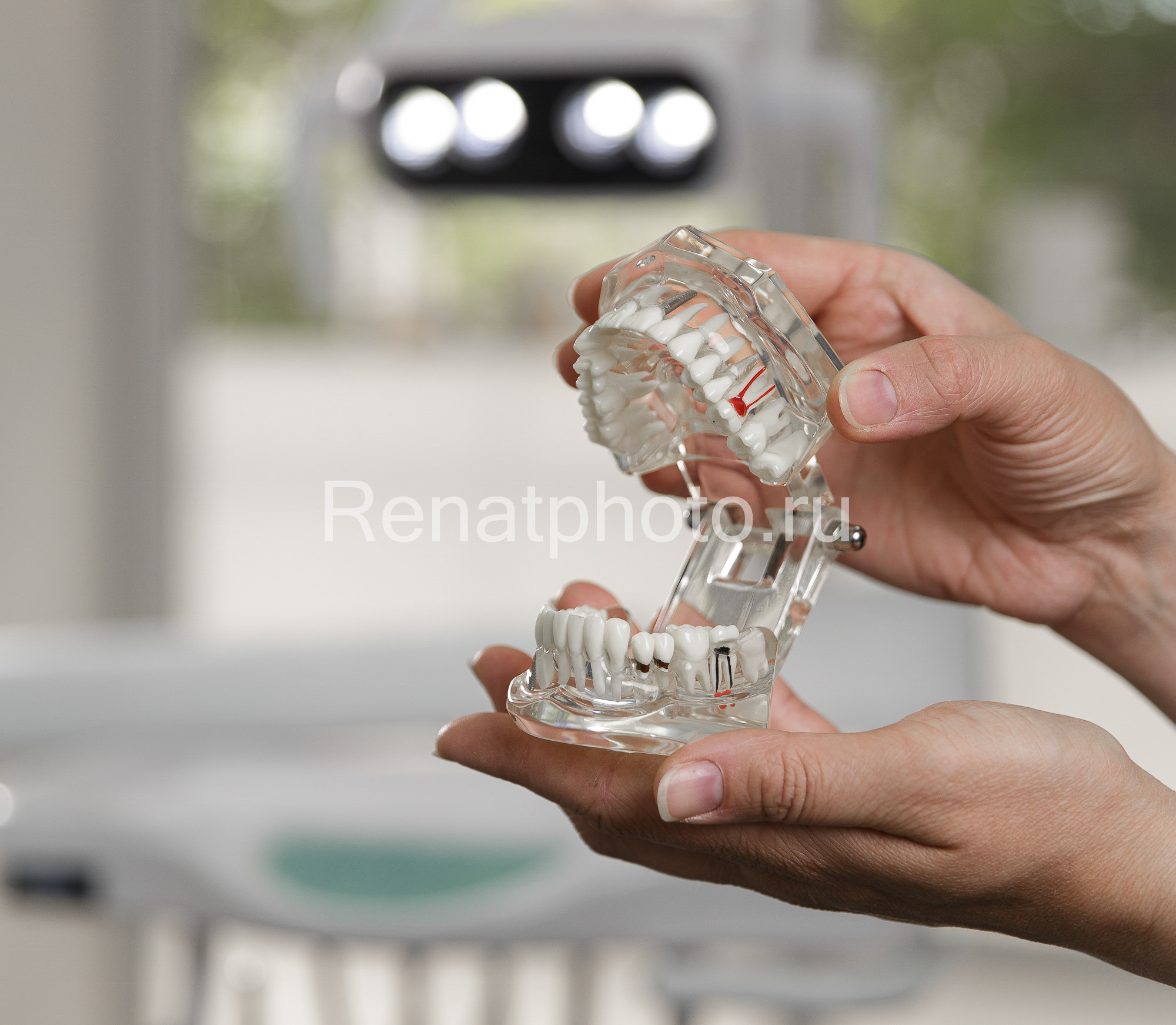 Renatphoto-Фотосъёмка стоматологии. Профессиональная фотосъёмка интерьеров, предметная фотосессия еды для меню г. Анапа