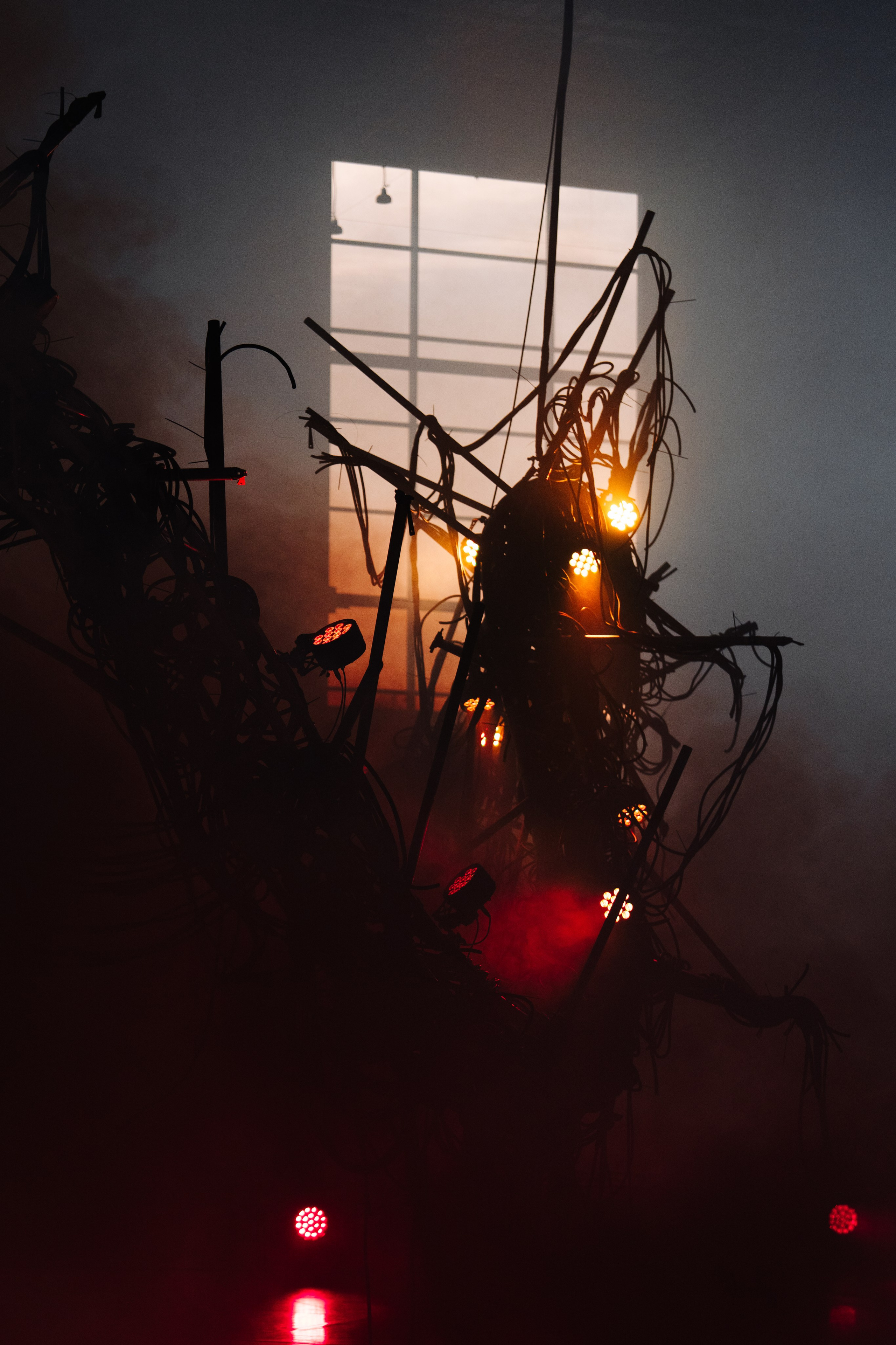 PANTERRA, CHRONOMORPH 001. @tomrus: Рустам Шагиморданов — фотограф