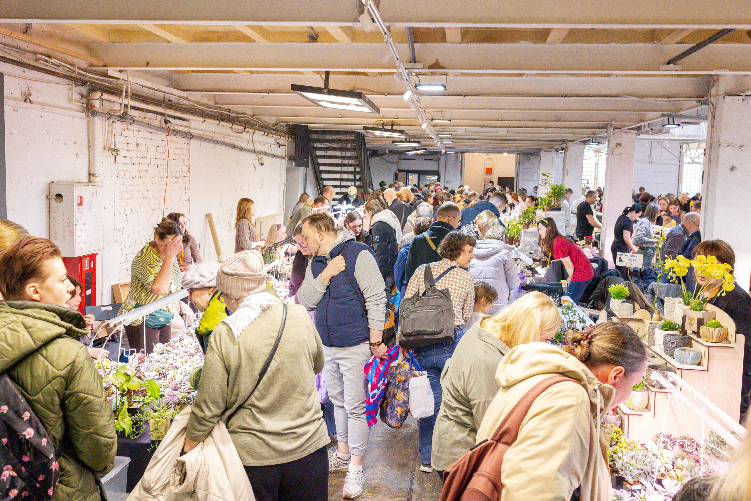Кактус Фест. Александра Куликова фотограф, Москва
