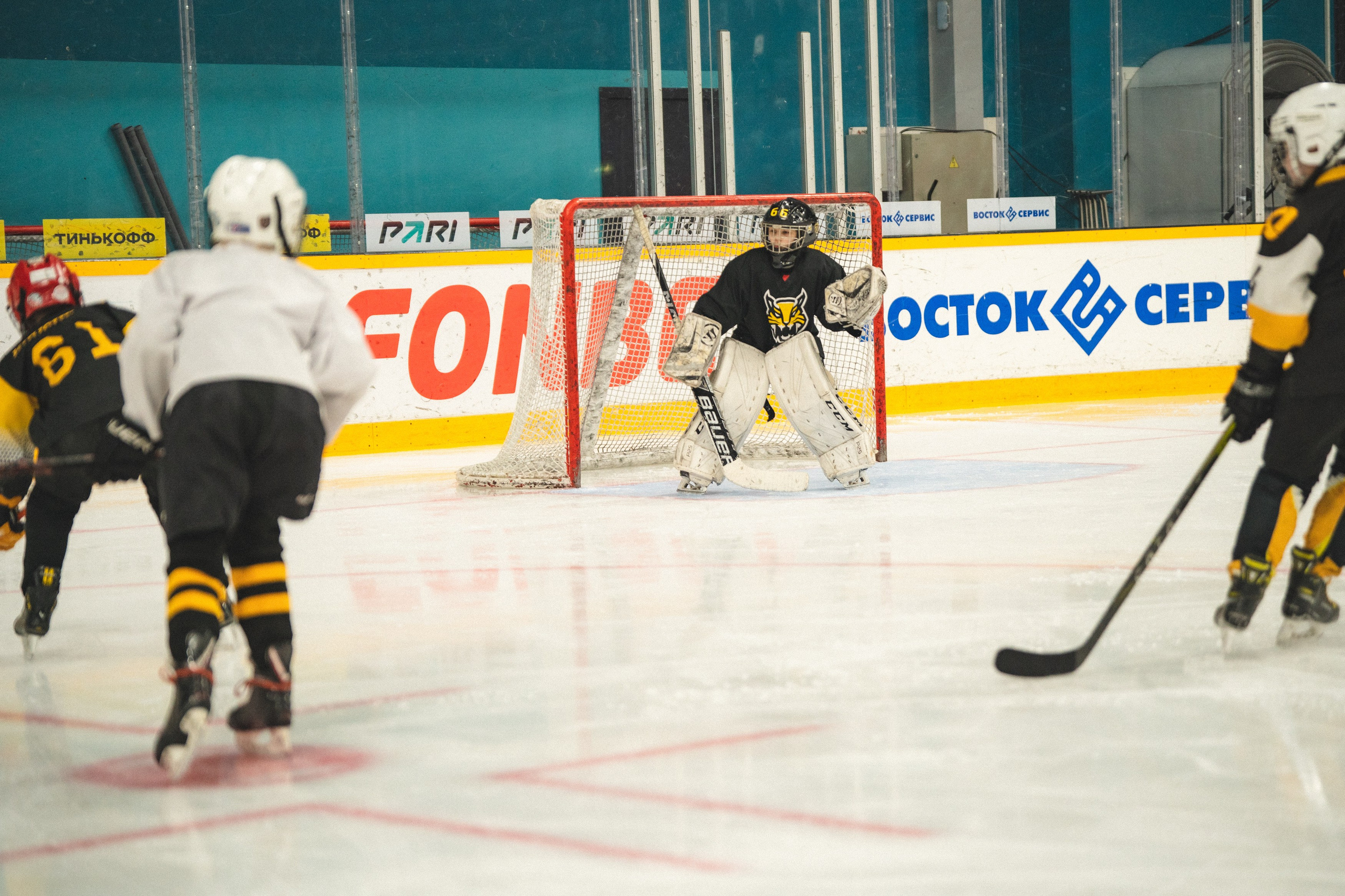 ХК Северсталь (младшая группа). Череповец. Zekons. Фото, видео, нейросети
