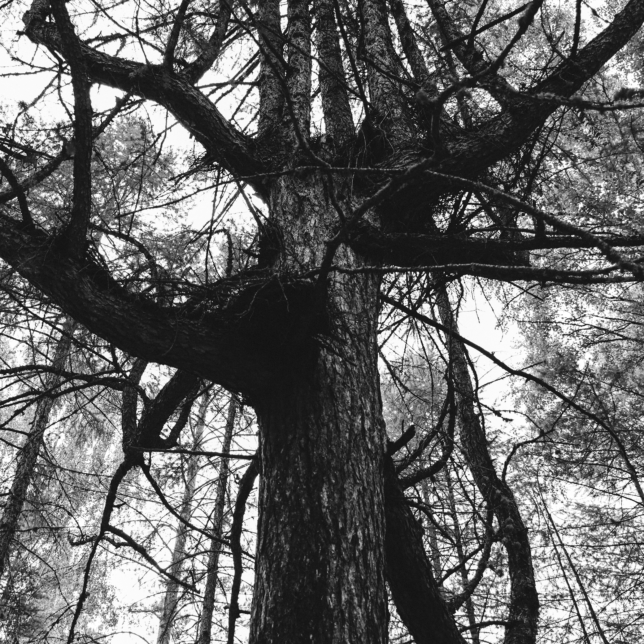 Summer hike. Фотограф/дизайнер в Екатеринбурге Хитрый Дмитрий