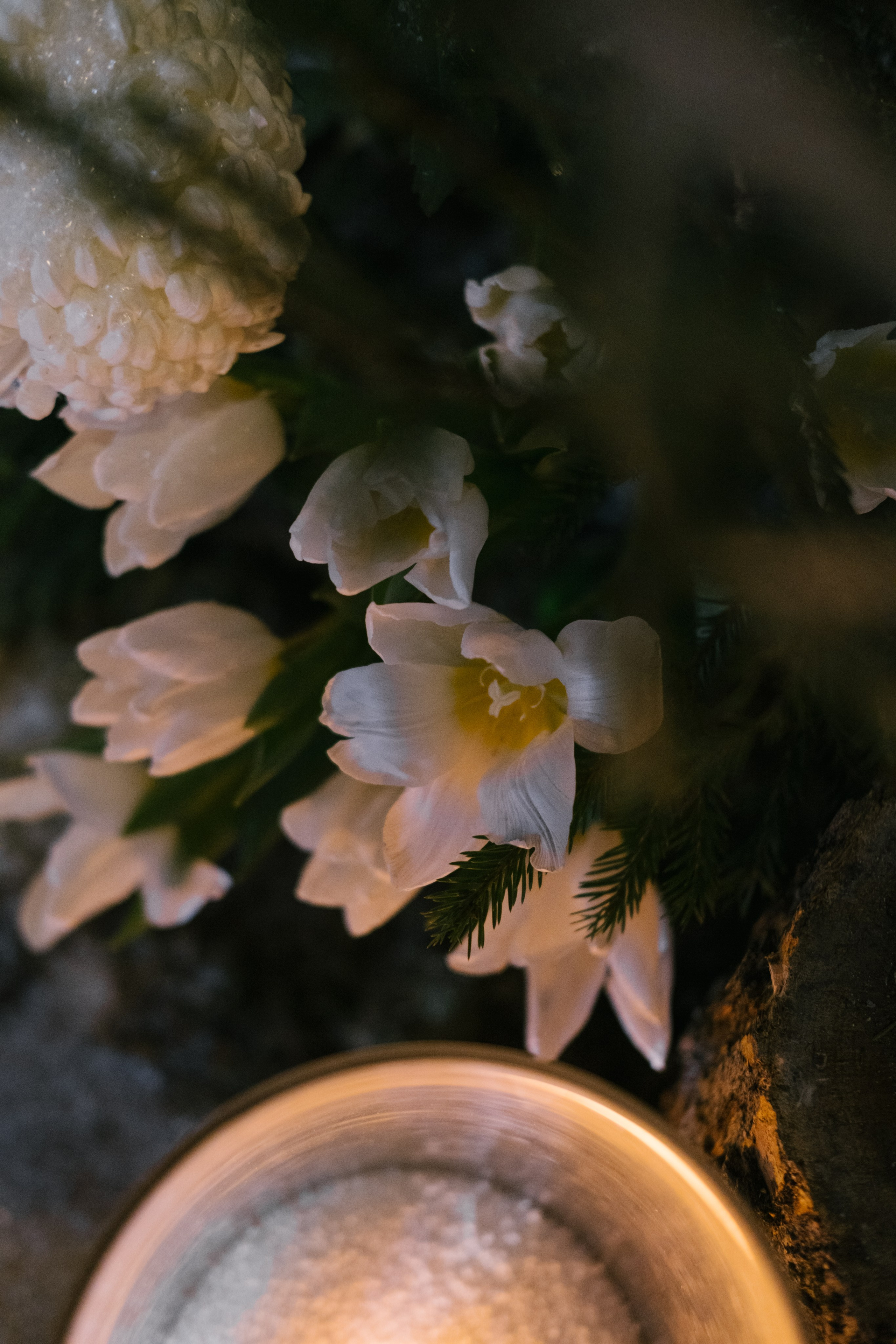 Алёна / Дмитрий. Свадебный Видеограф Фотограф в Сочи