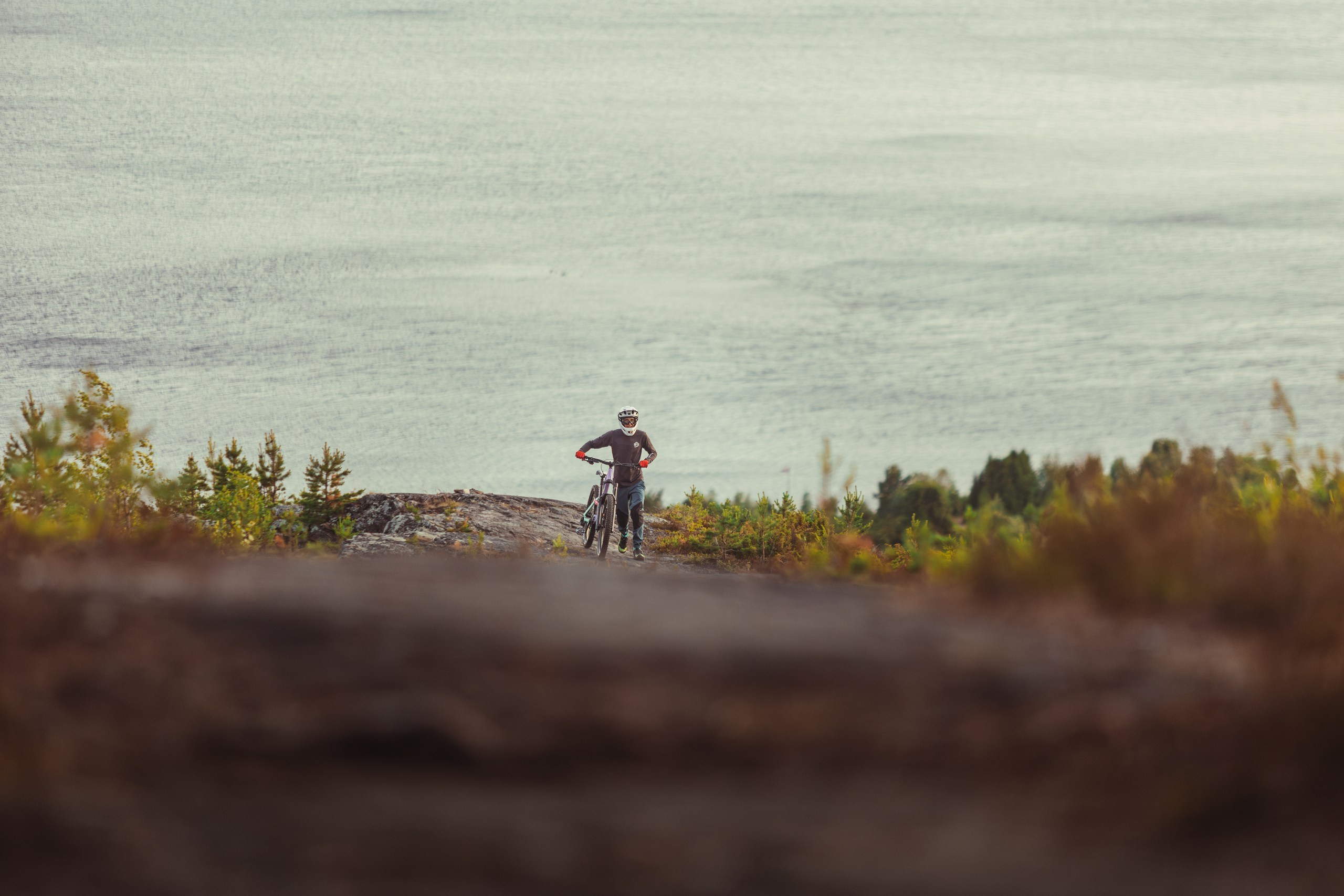 Кандалакшка. Фотограф анималист Никита Натальный