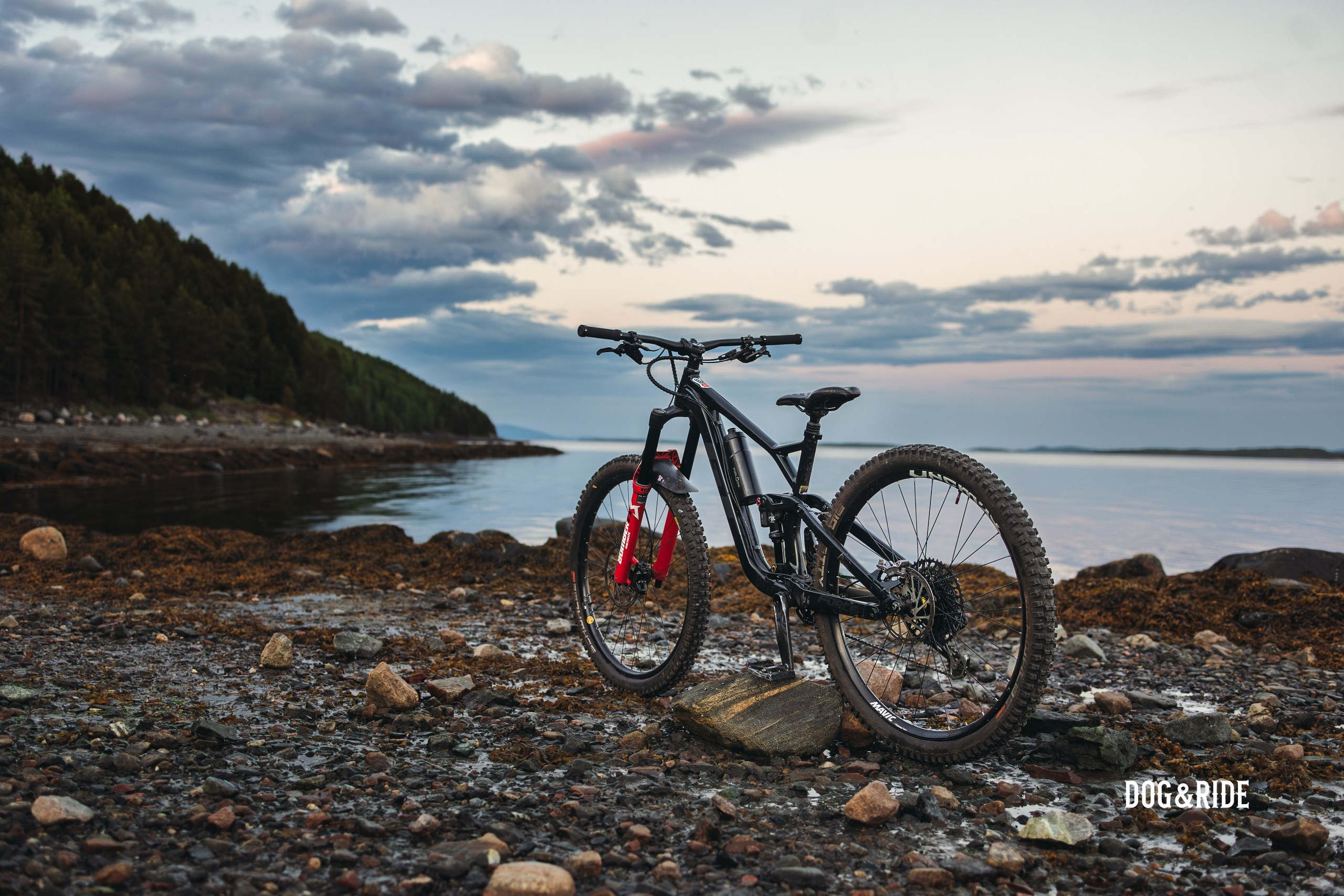 Кандалакшка. Фотограф анималист Никита Натальный