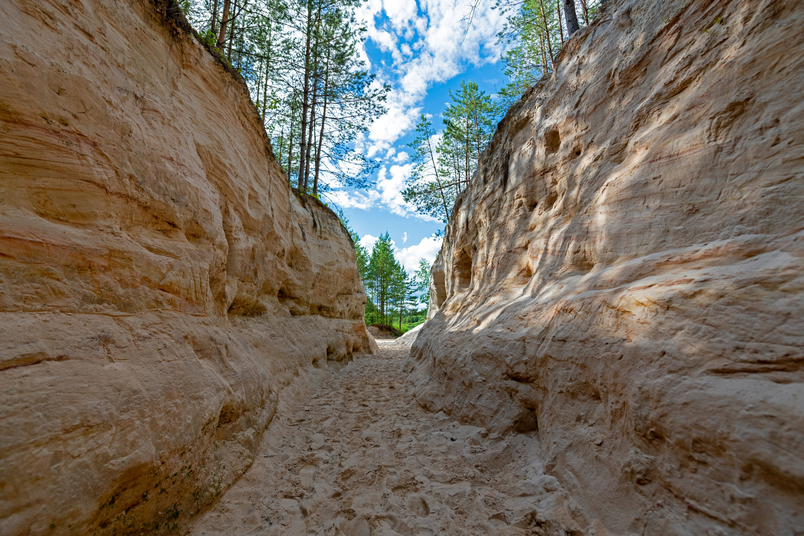 ПРИРОДА. От прошлого к будущему авиации через фотографию