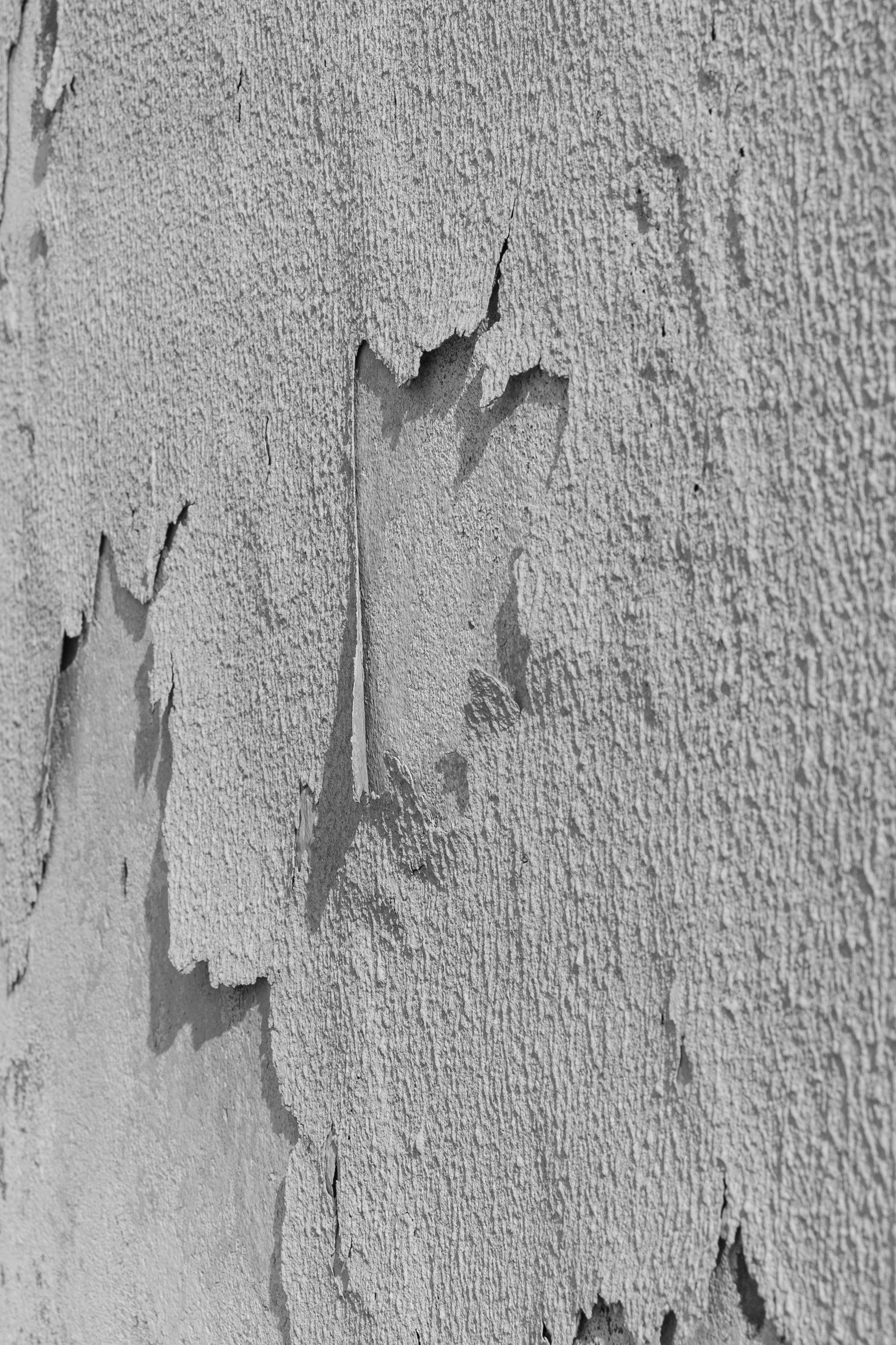 Порталы | Portals. Фотограф алина стерхова, алина стерхова фотограф, фотограф москва