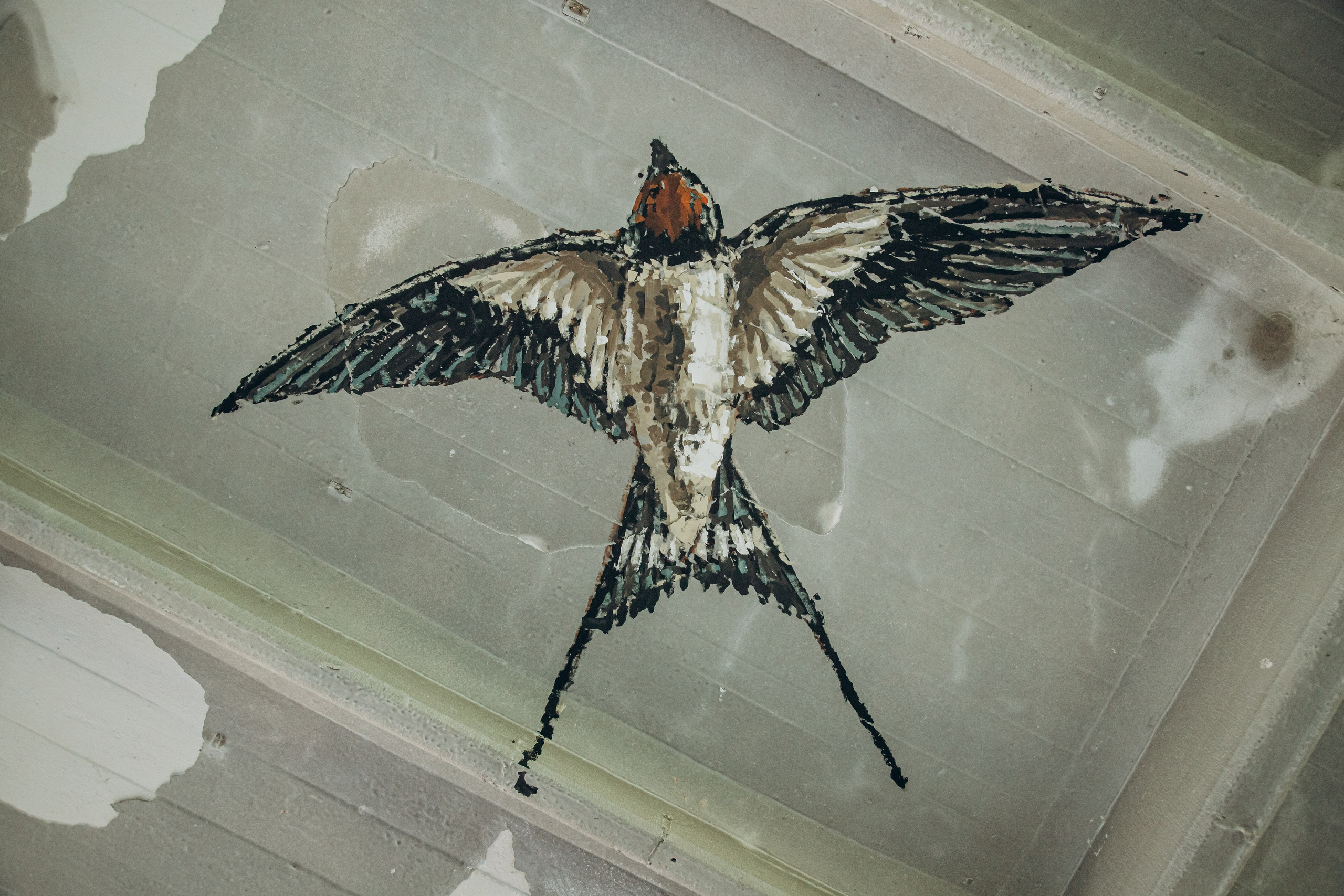 НЕ ПУСТОЕ МЕСТО. Репортажный фотограф с душой путешественника