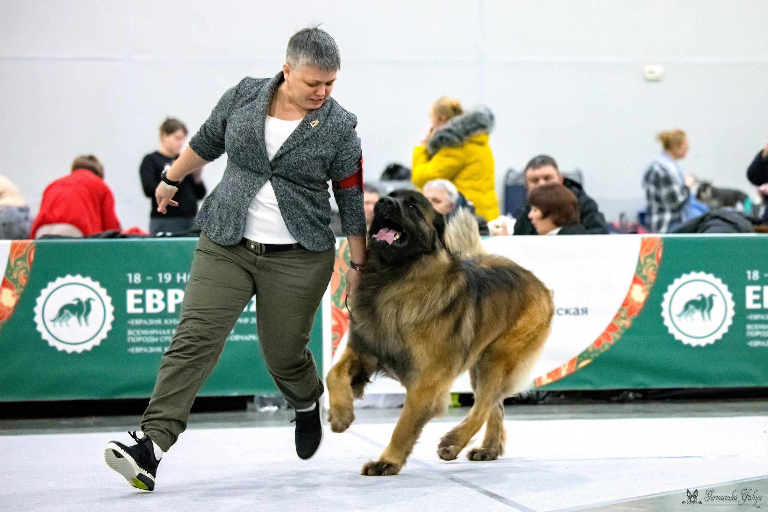 ЕВРАЗИЯ 18-19.11.2023. Фотограф-анималист Юлия Германика