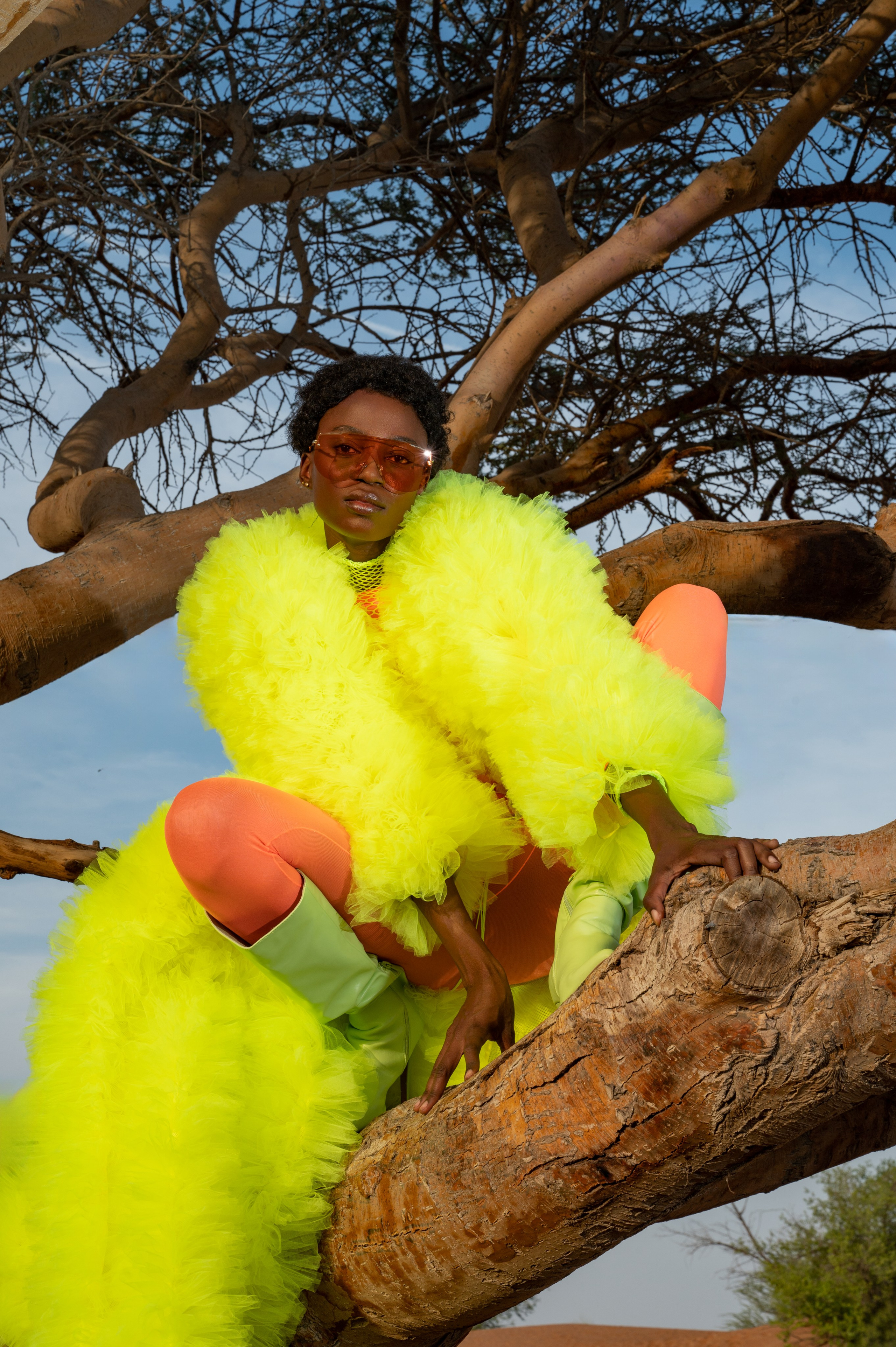 Fairy bird. Коммерческий фотограф Москва /Дубай, эксклюзивные фэшн фотосессии