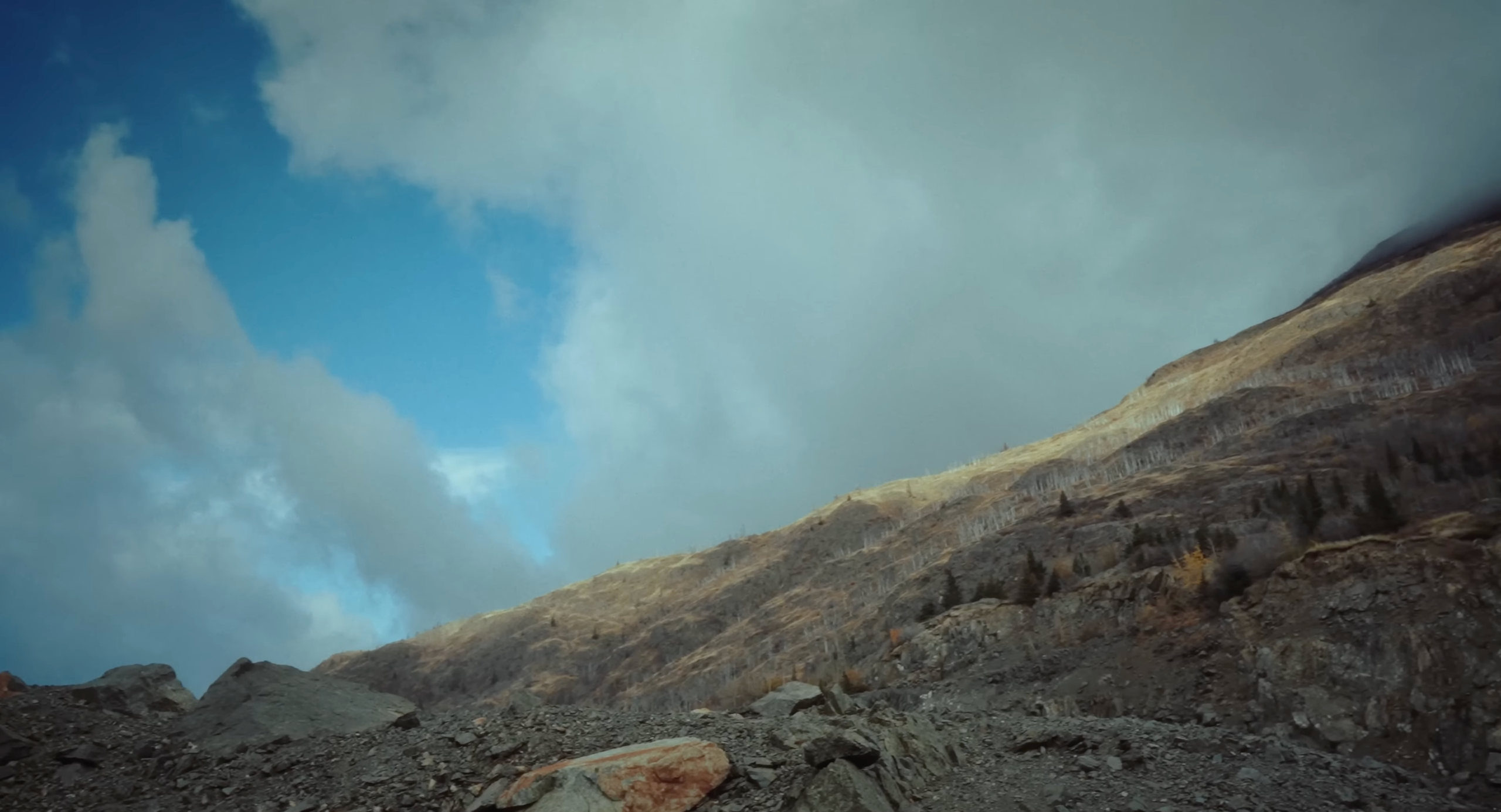 My transformation or how I became homeless in the USA. Tokcolor