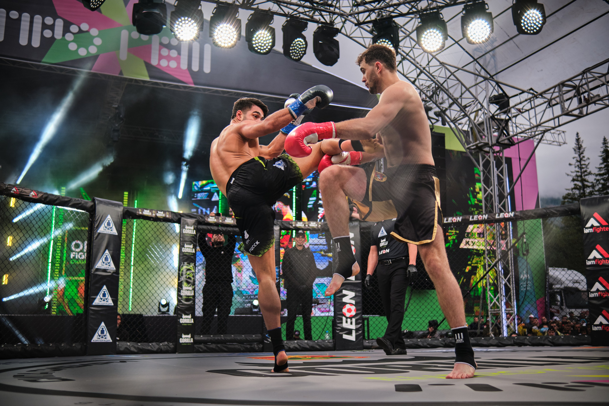 ММА на ПРО ГЕШ. Свадебный и семейный фотограф в Новокузнецке Иван Иванов