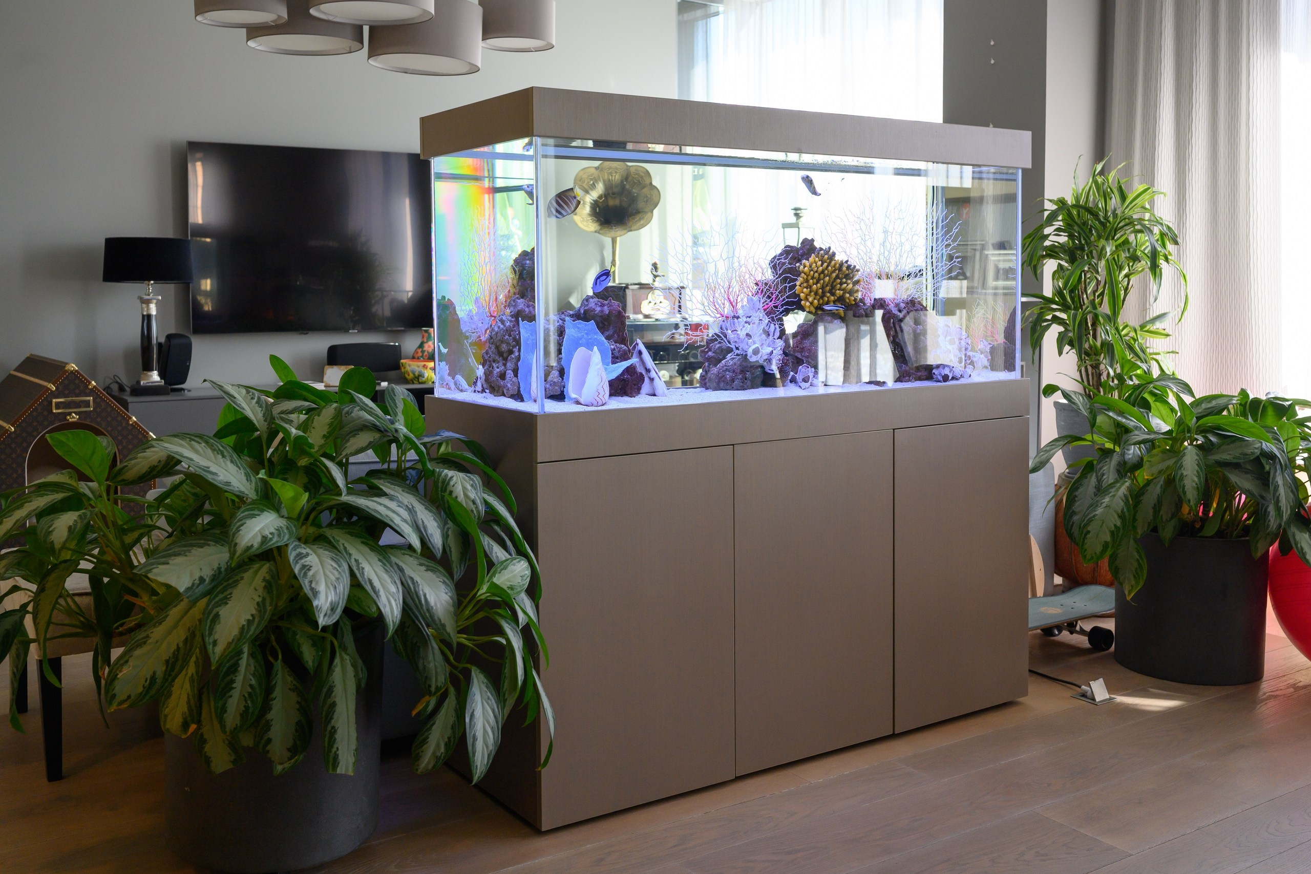 Интерьерная съёмка. Предметная фотосъемка в Москве и Московской области