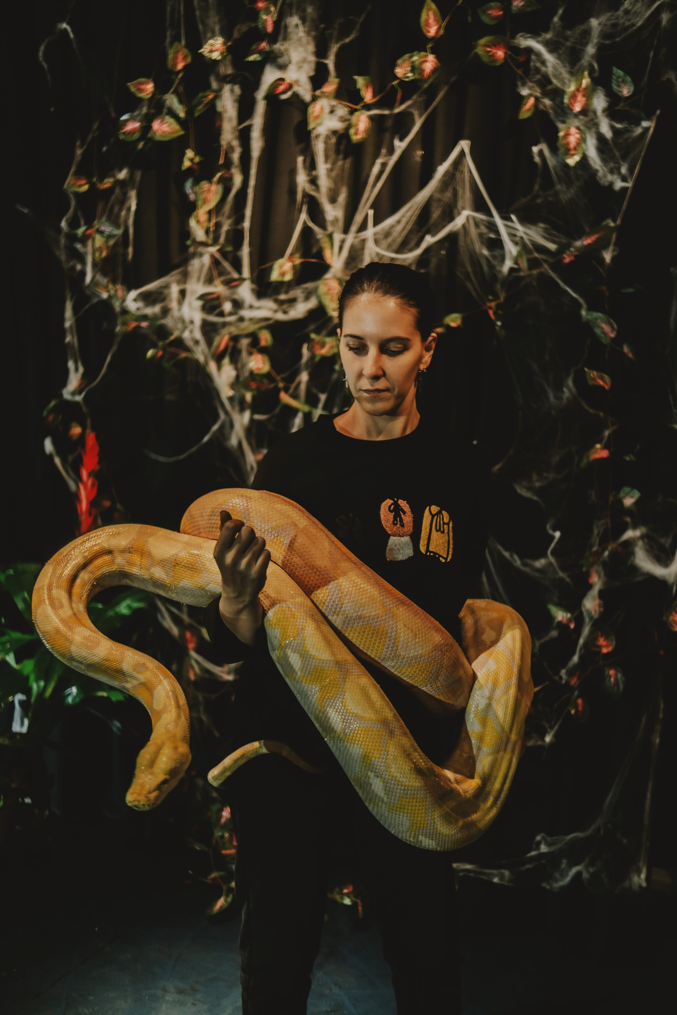 Дом Драконов. Nattie.ph