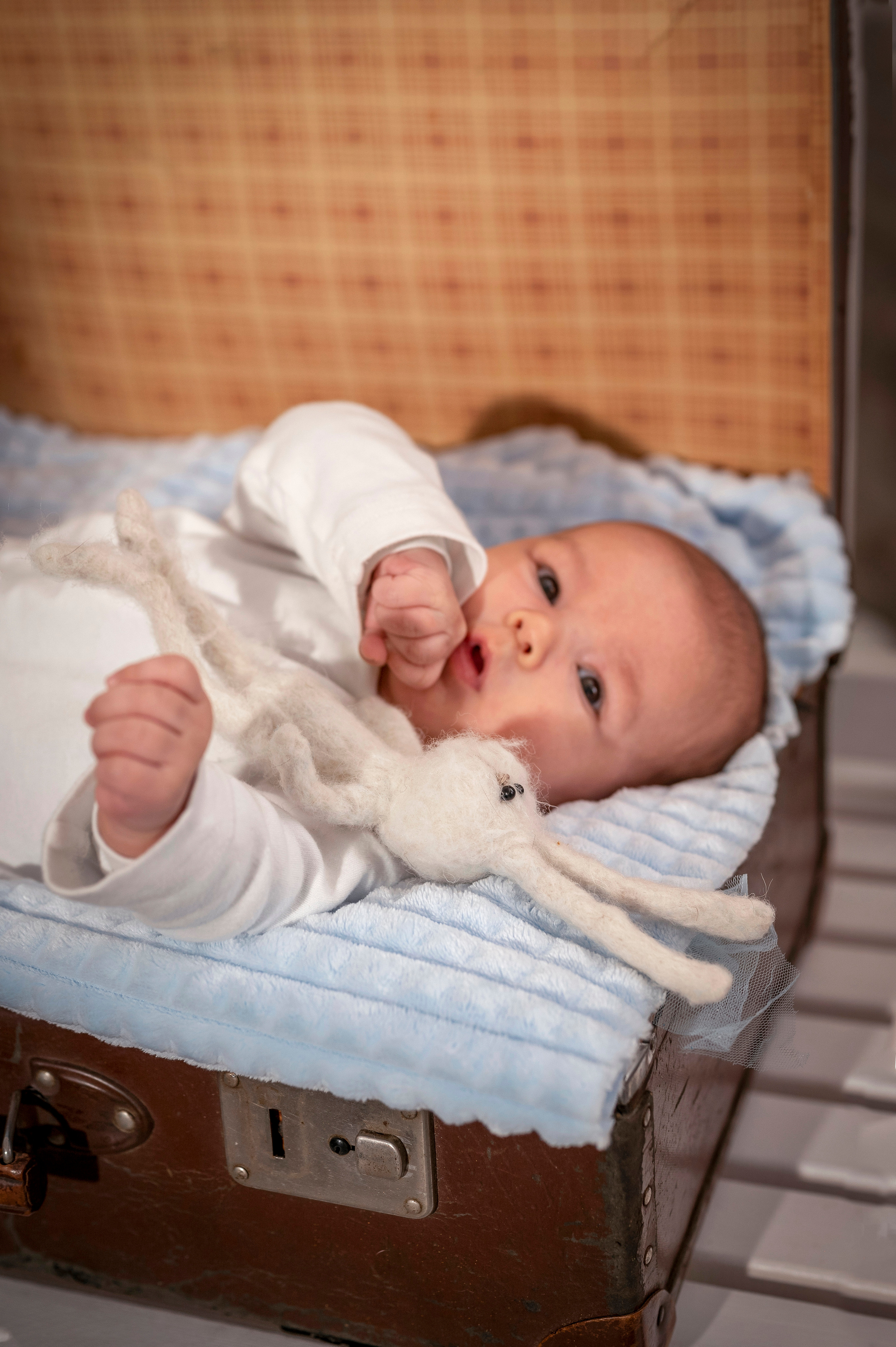 Три поколения. Семейный и детский фотограф в Канске и Канском р-не, Красноярск и