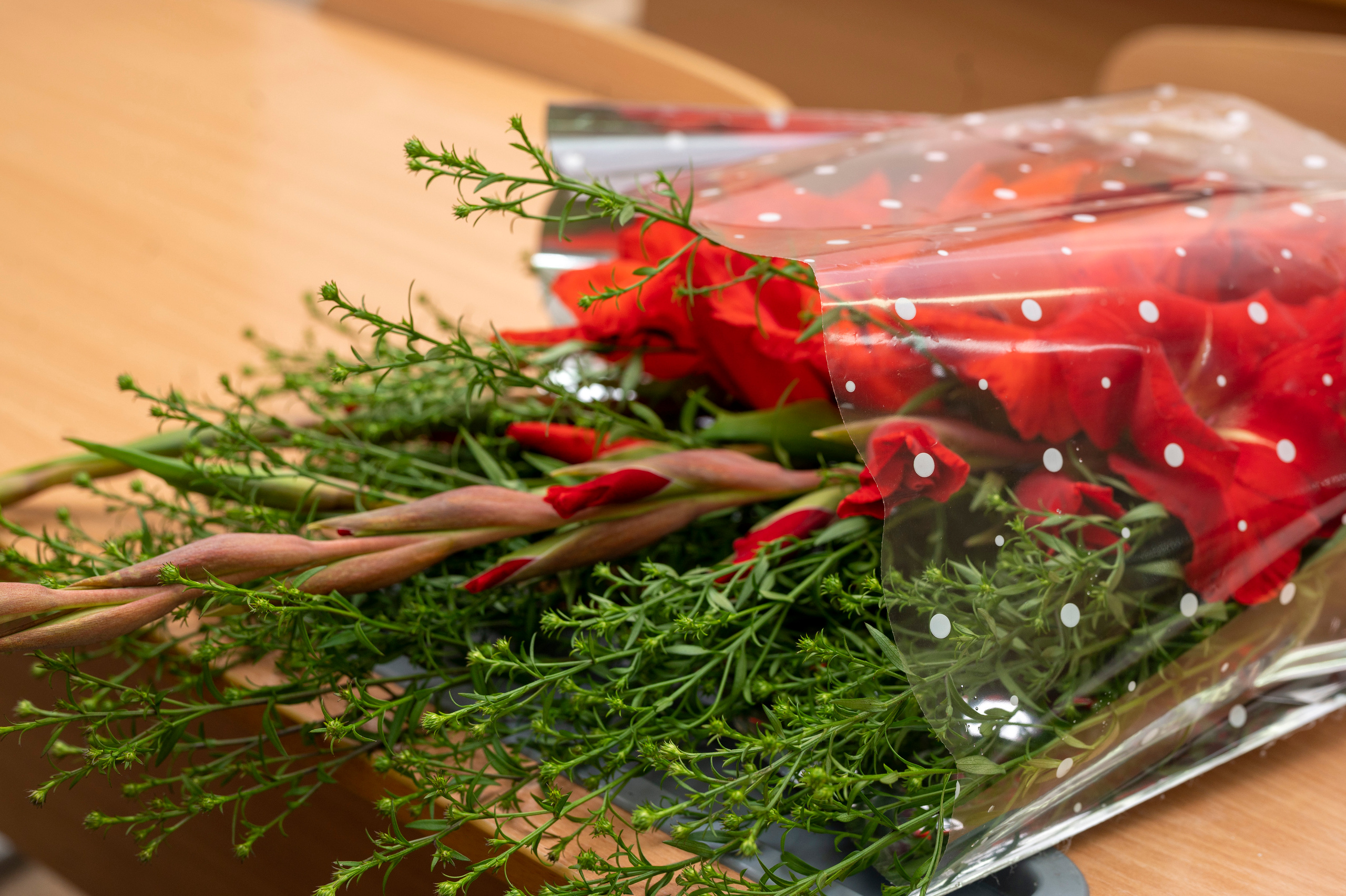 1 Гимназия 7 класс. Семейный и детский фотограф в Канске и Канском р-не, Красноярск и