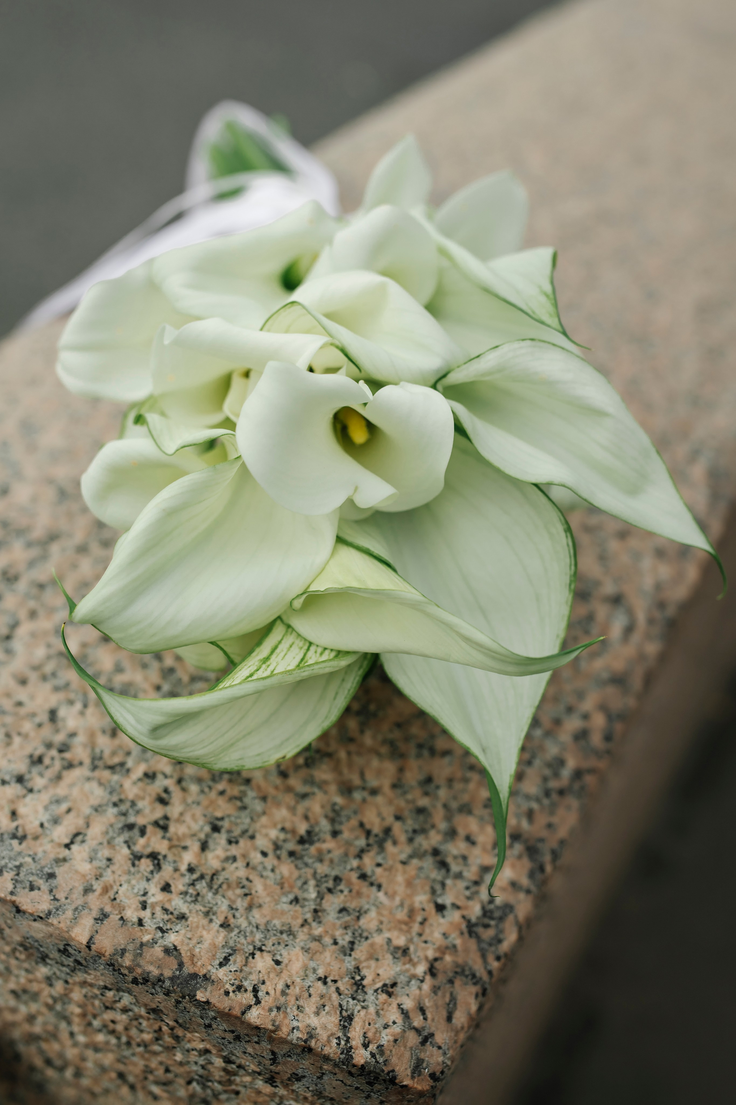 Александр & Наталья. Свадебный и семейный фотограф Санкт-Петербурга Мария Родионова