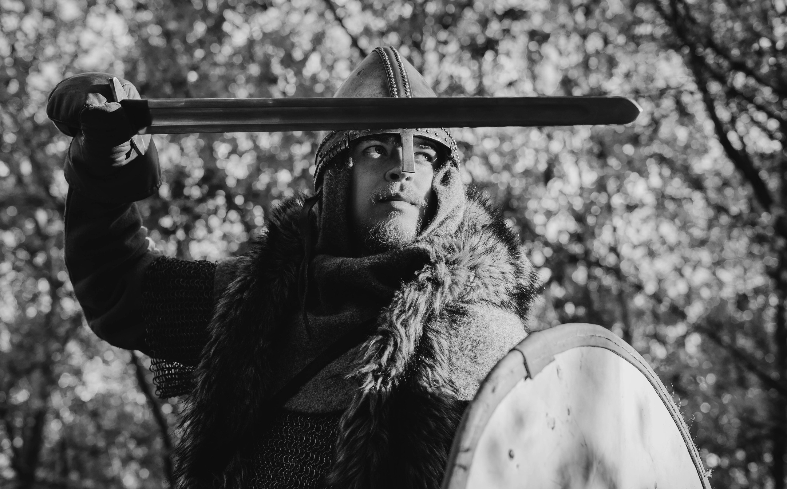 Викинг. Ab extra