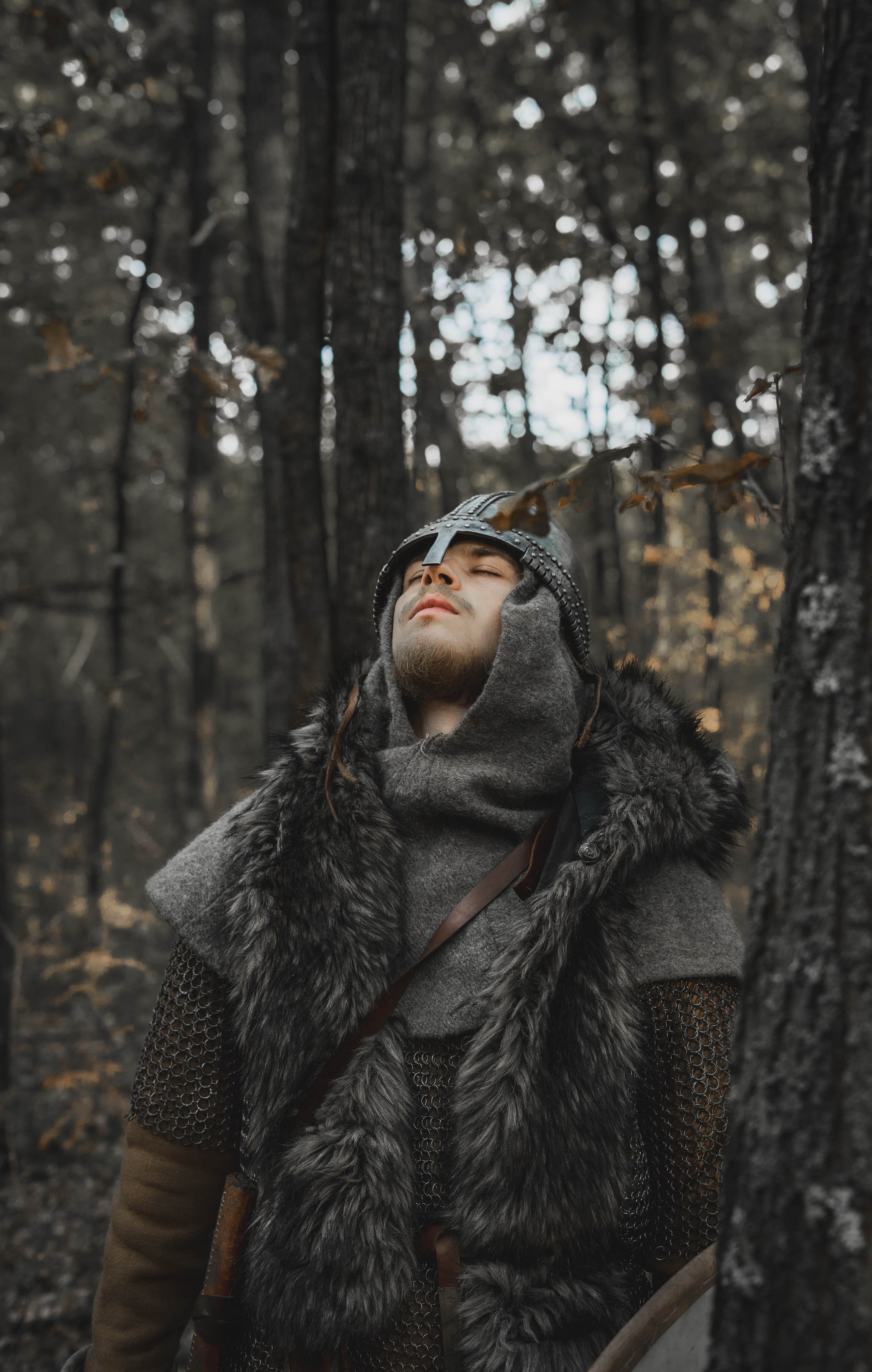 Викинг. Ab extra