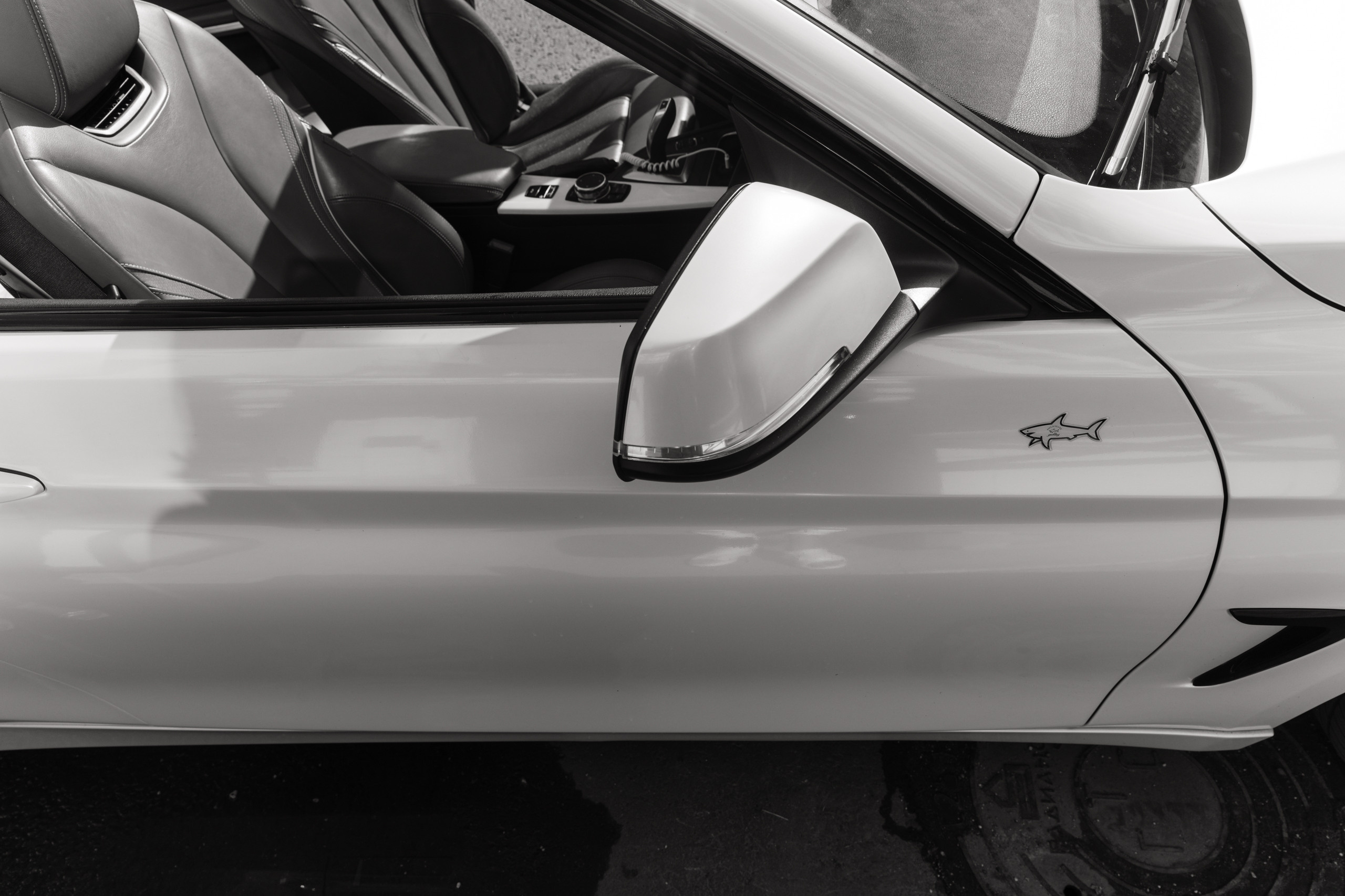 Анонс свадьбы Милоша и Софьи