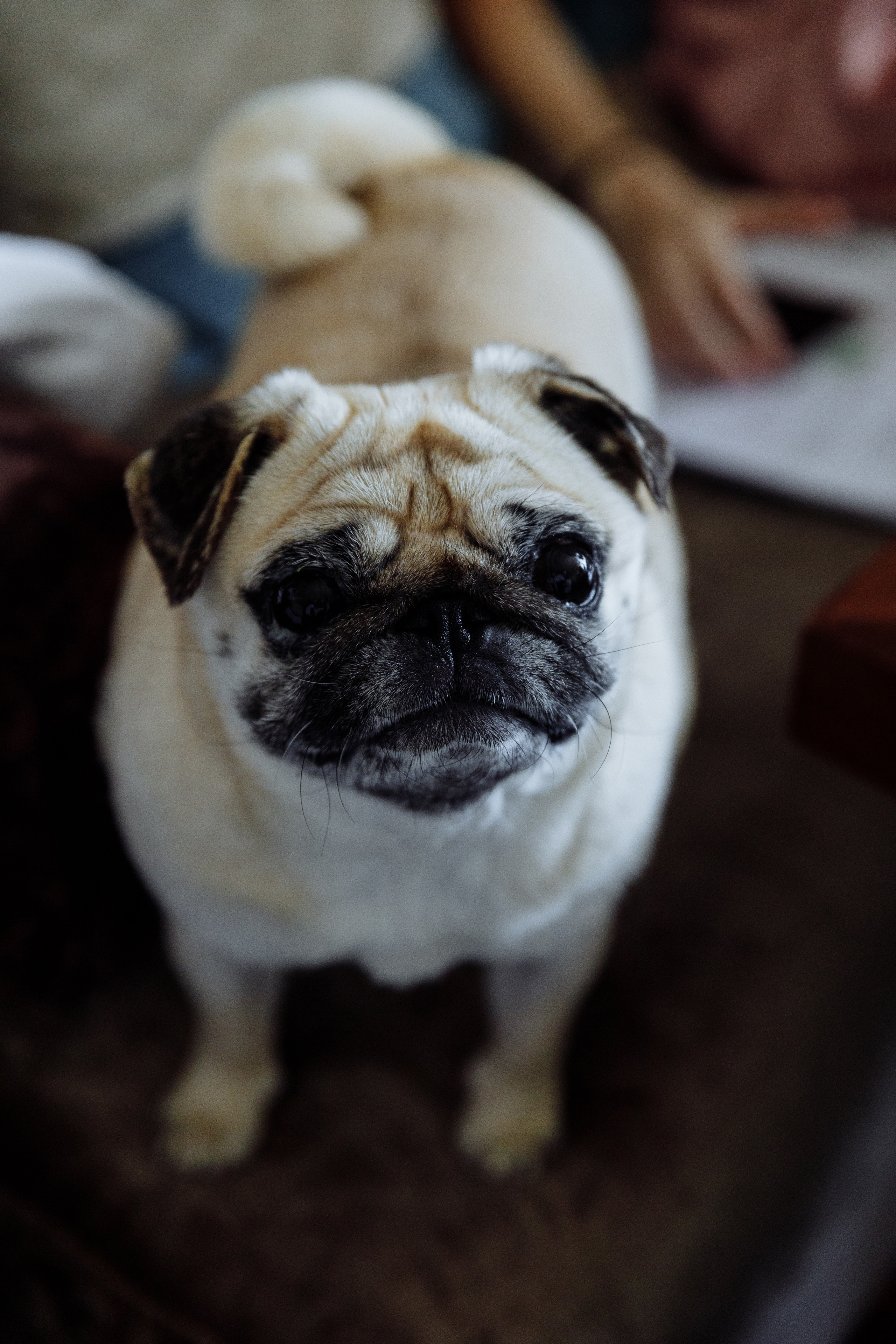 Свадебный анонс Насти и Сергея