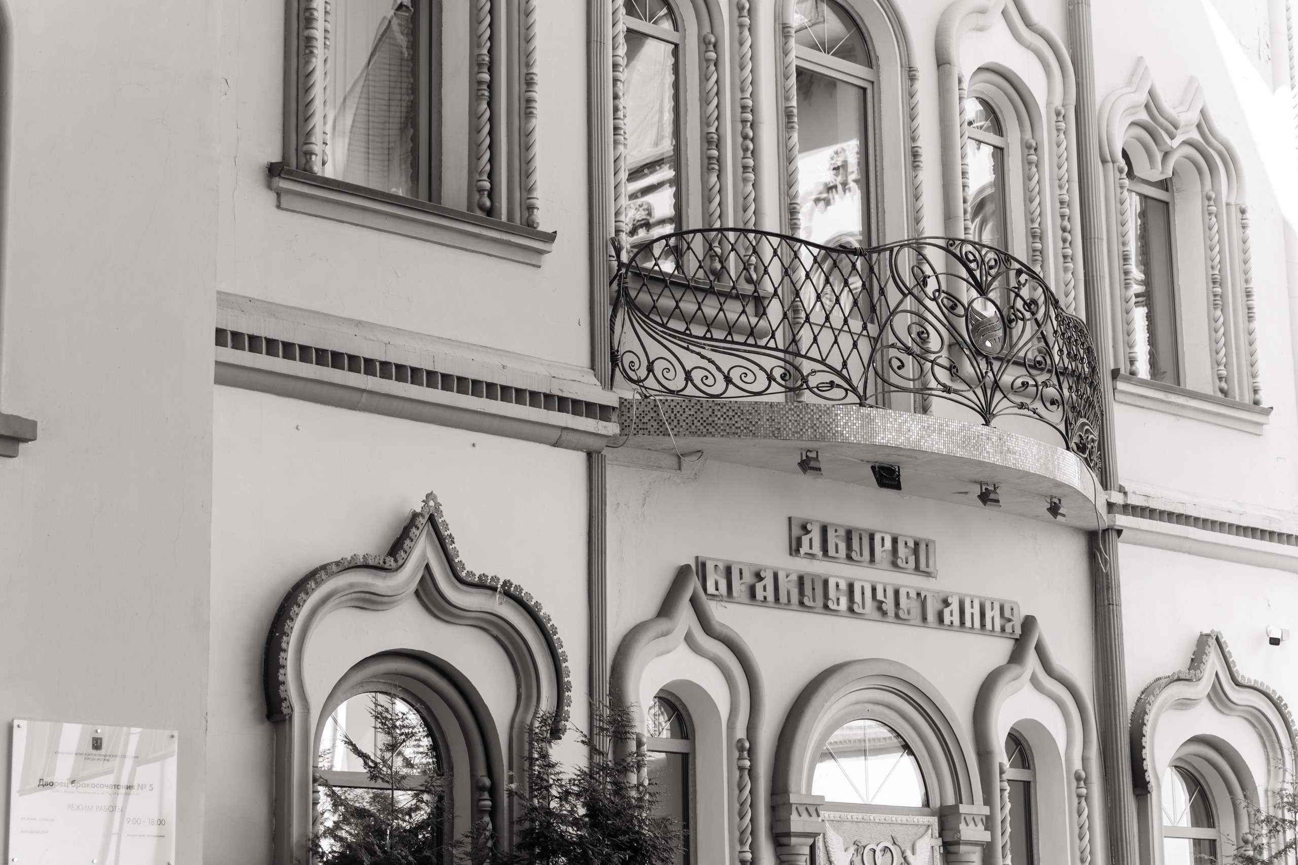 Анонс свадьбы Милоша и Софьи